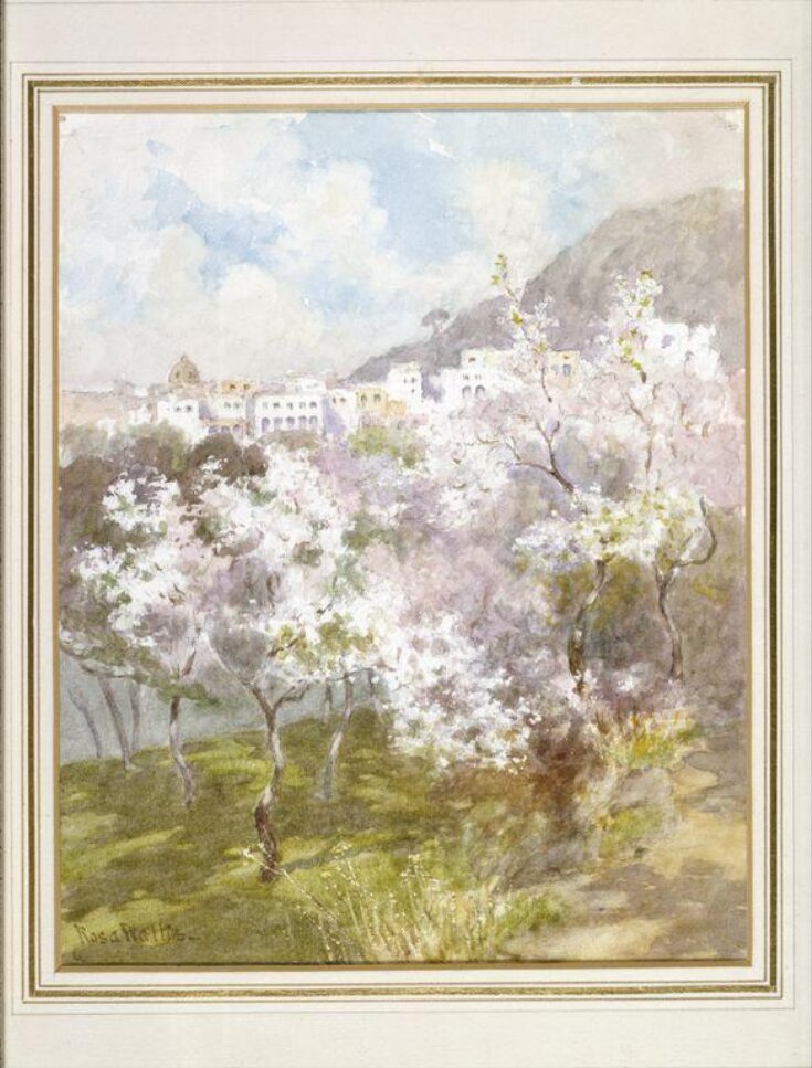 White Almond Blossom, Capri top image