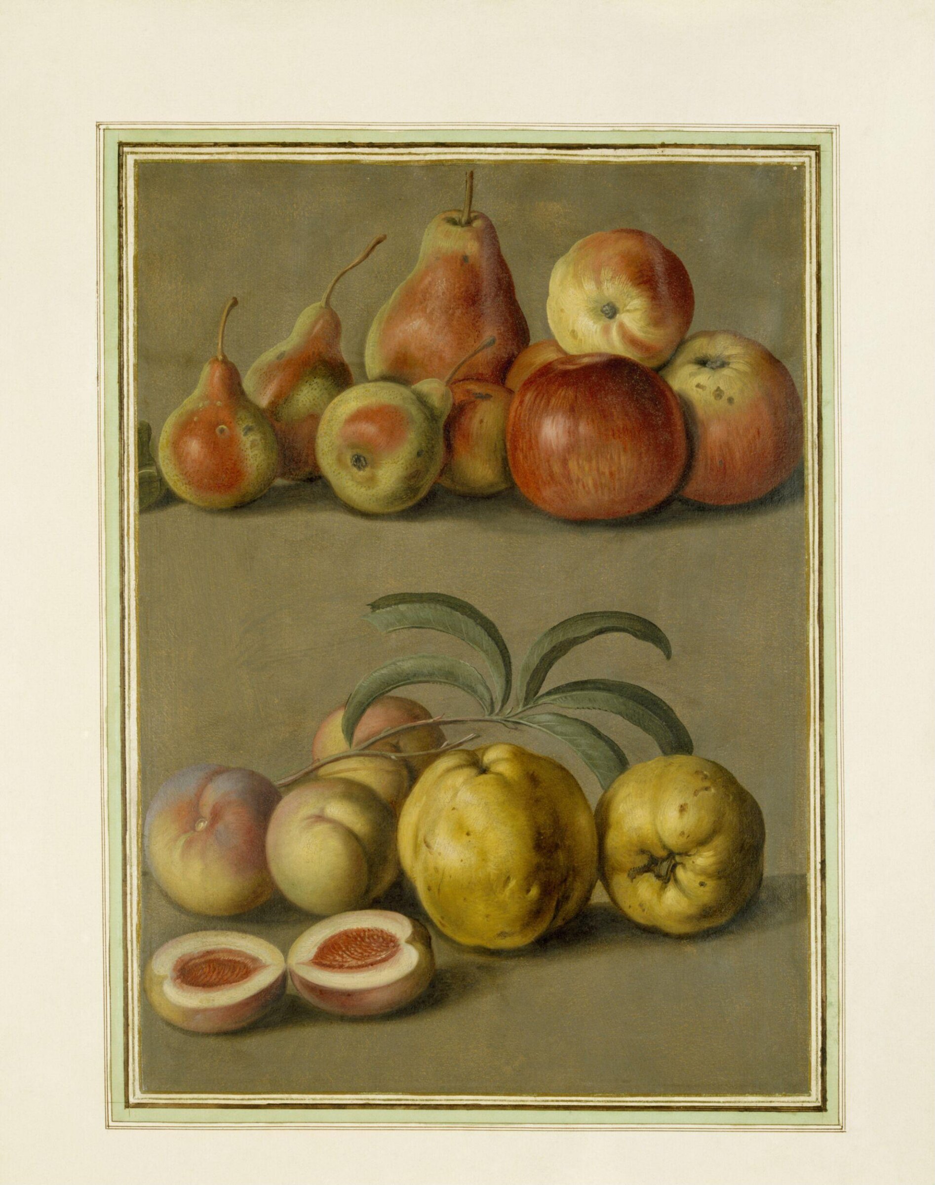 Watercolour, Johann Jakob Walther, 1654