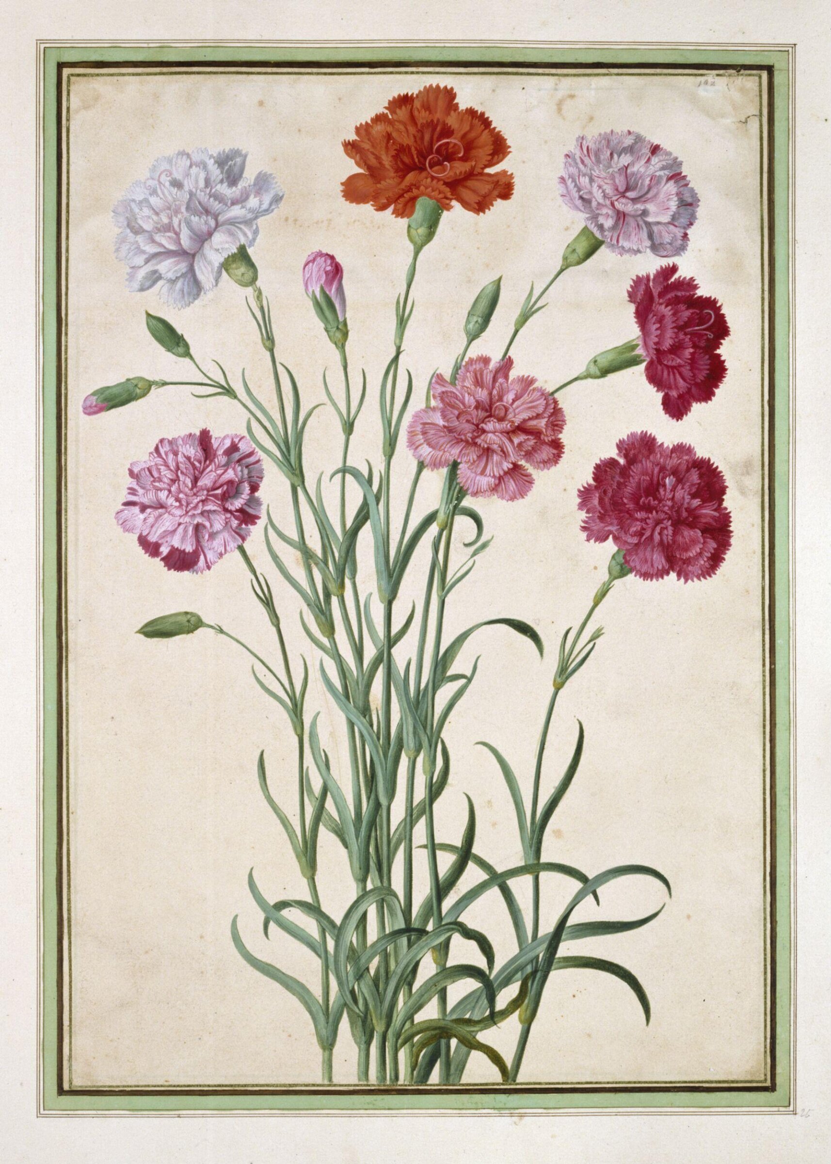 Watercolour, Johann Jakob Walther, 1654