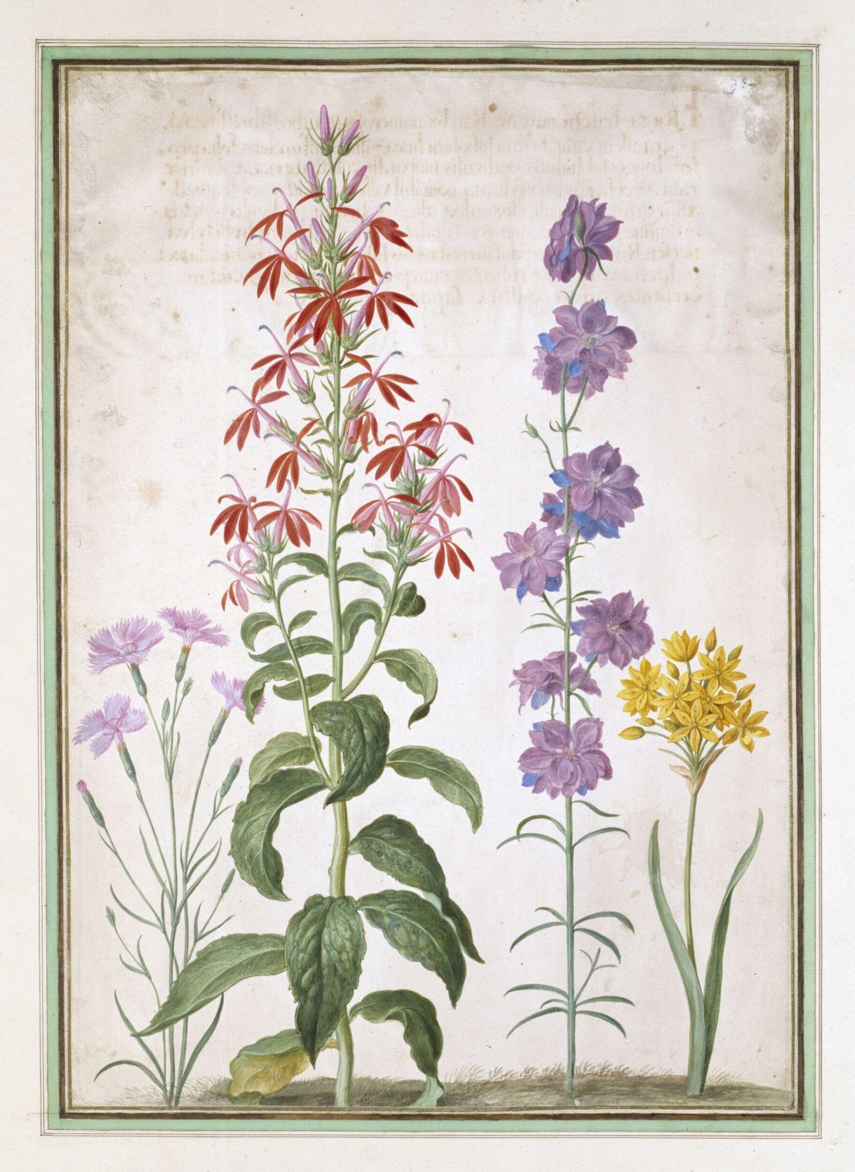 Watercolour, Johann Jakob Walther, 1654