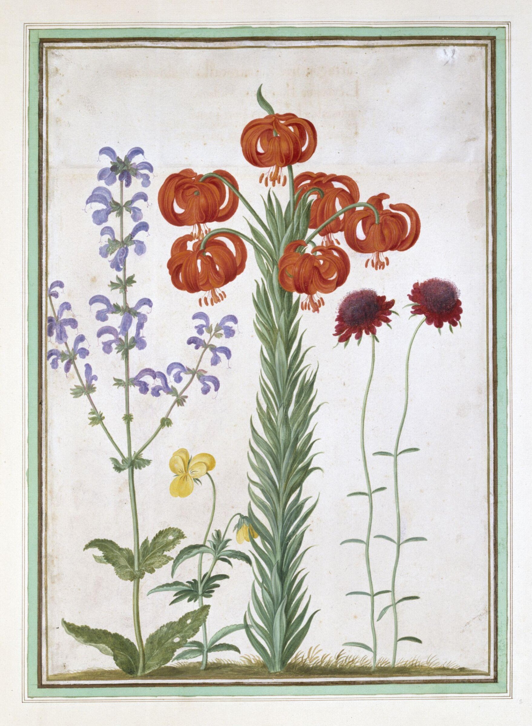 Watercolour, Johann Jakob Walther, 1654