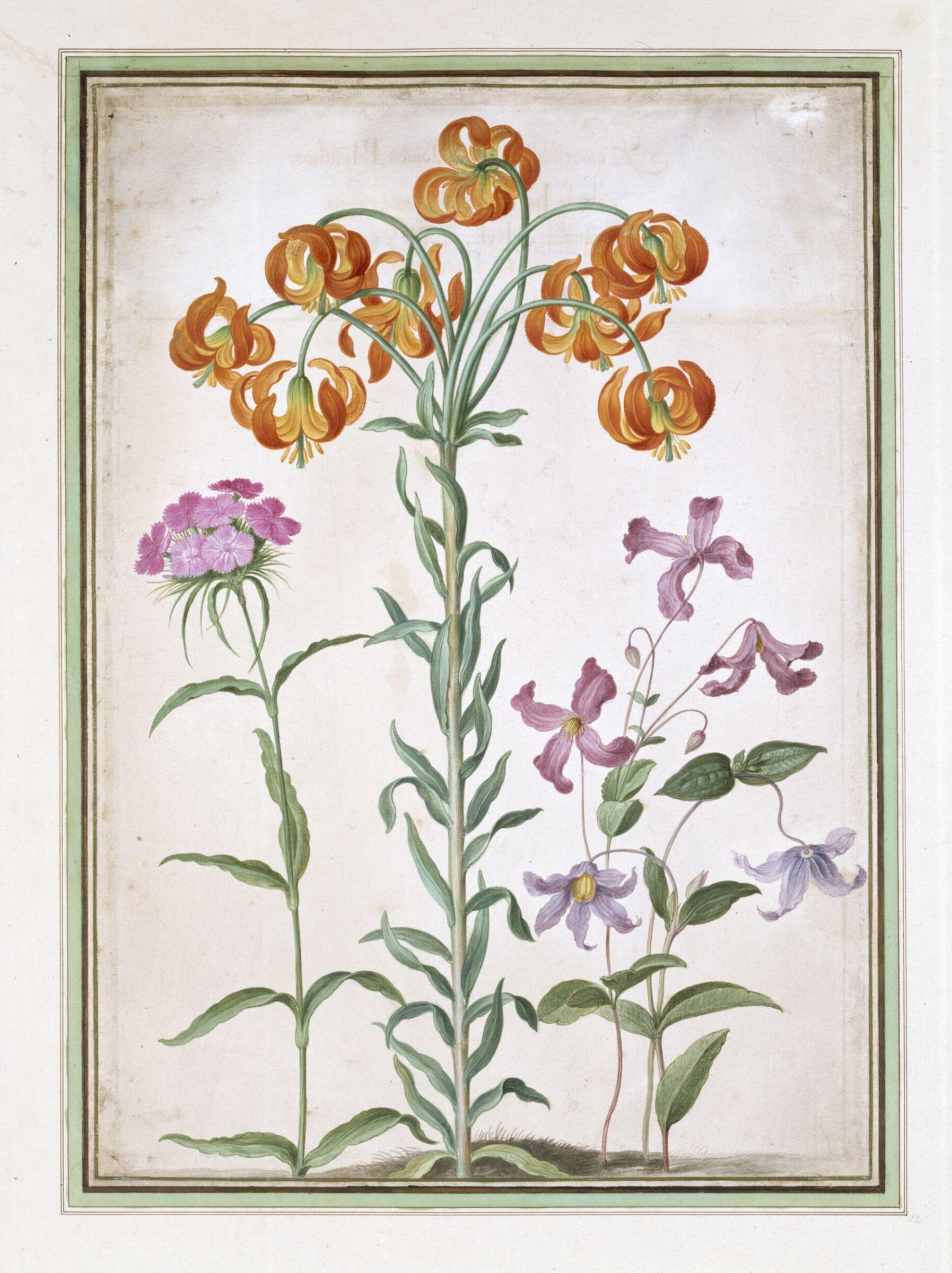 Watercolour, Johann Jakob Walther, 1654