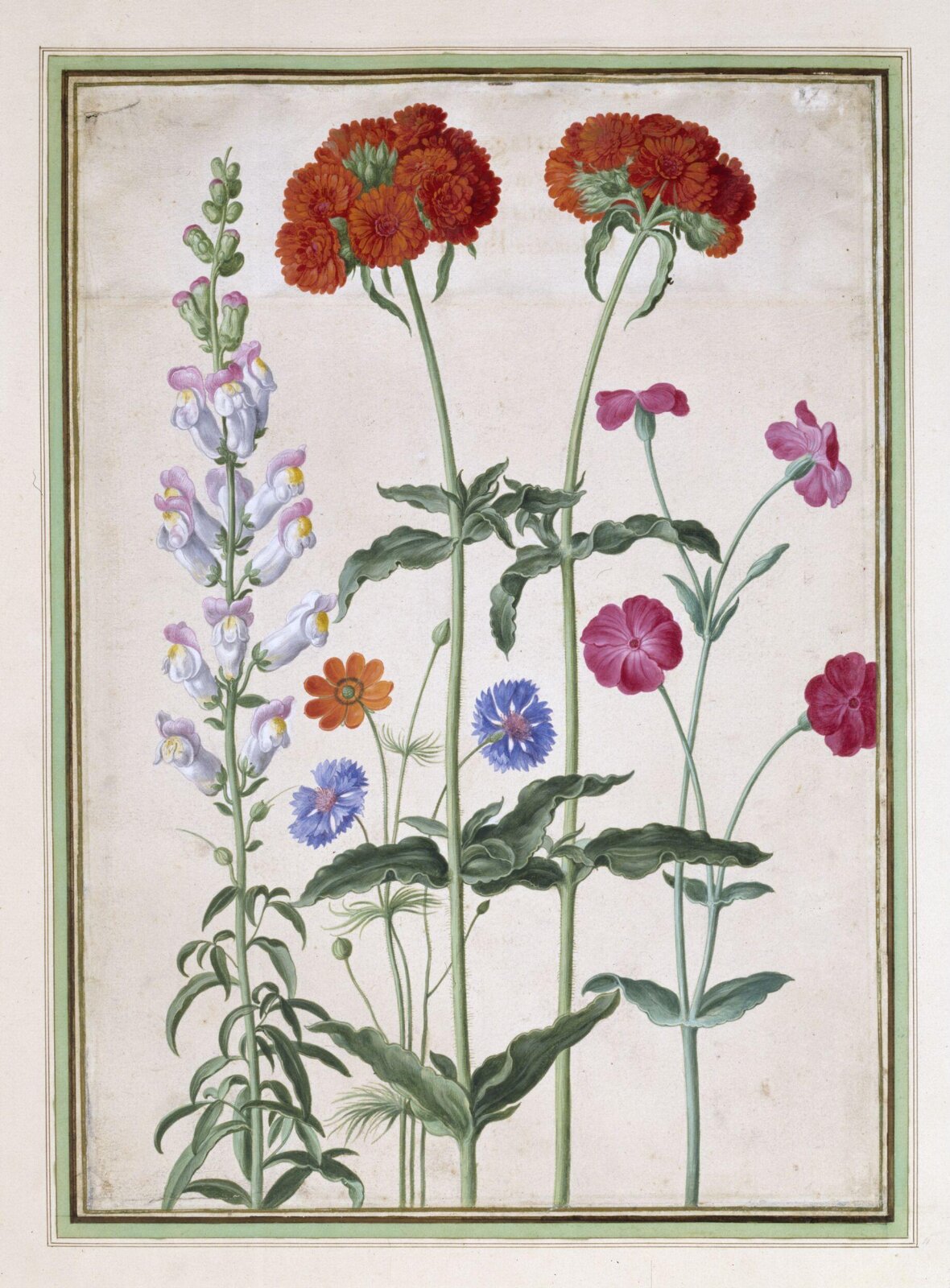 Watercolour, Johann Jakob Walther, 1654