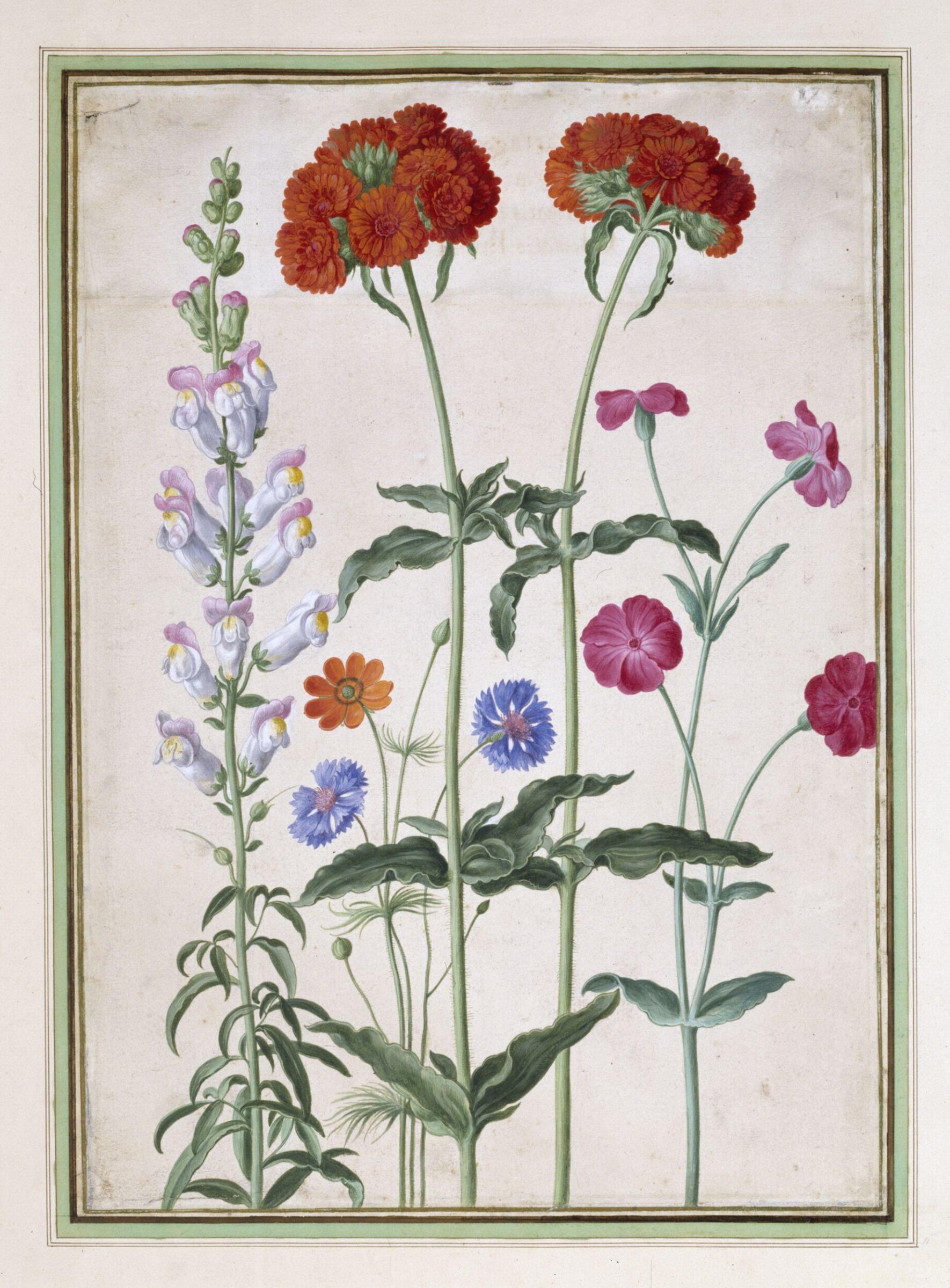 Watercolour, Johann Jakob Walther, 1654