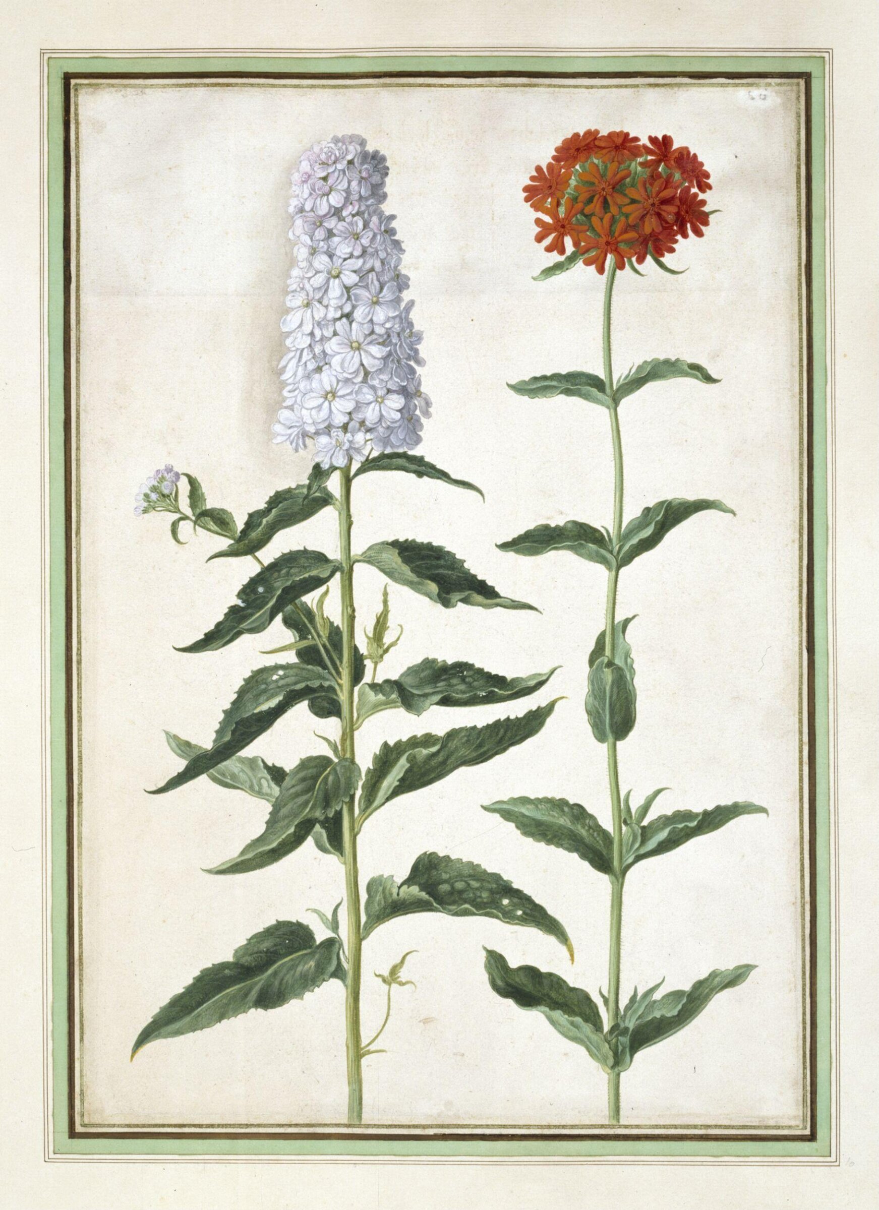 Watercolour, Johann Jakob Walther, 1654