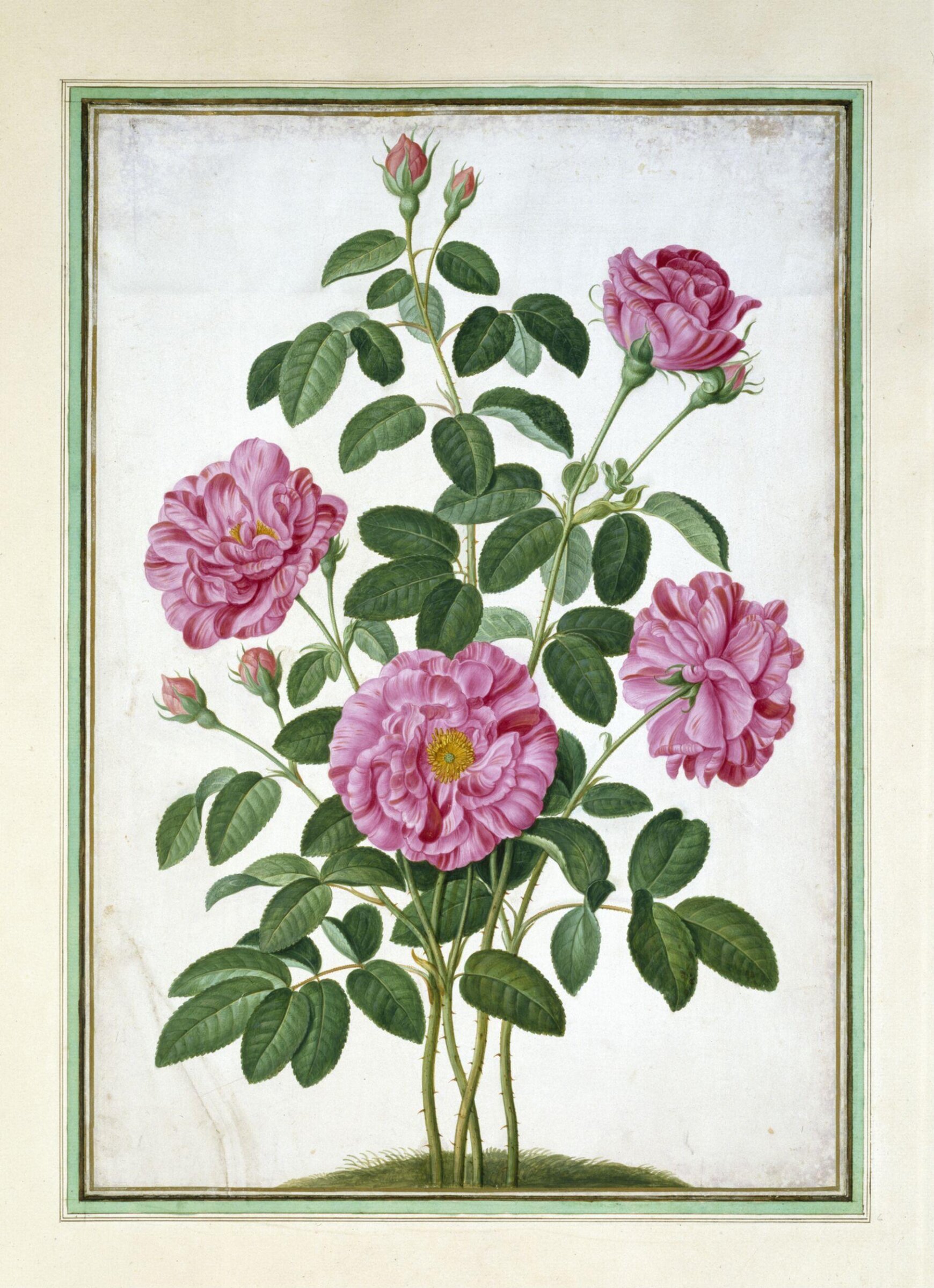 Watercolour, Johann Jakob Walther, 1654