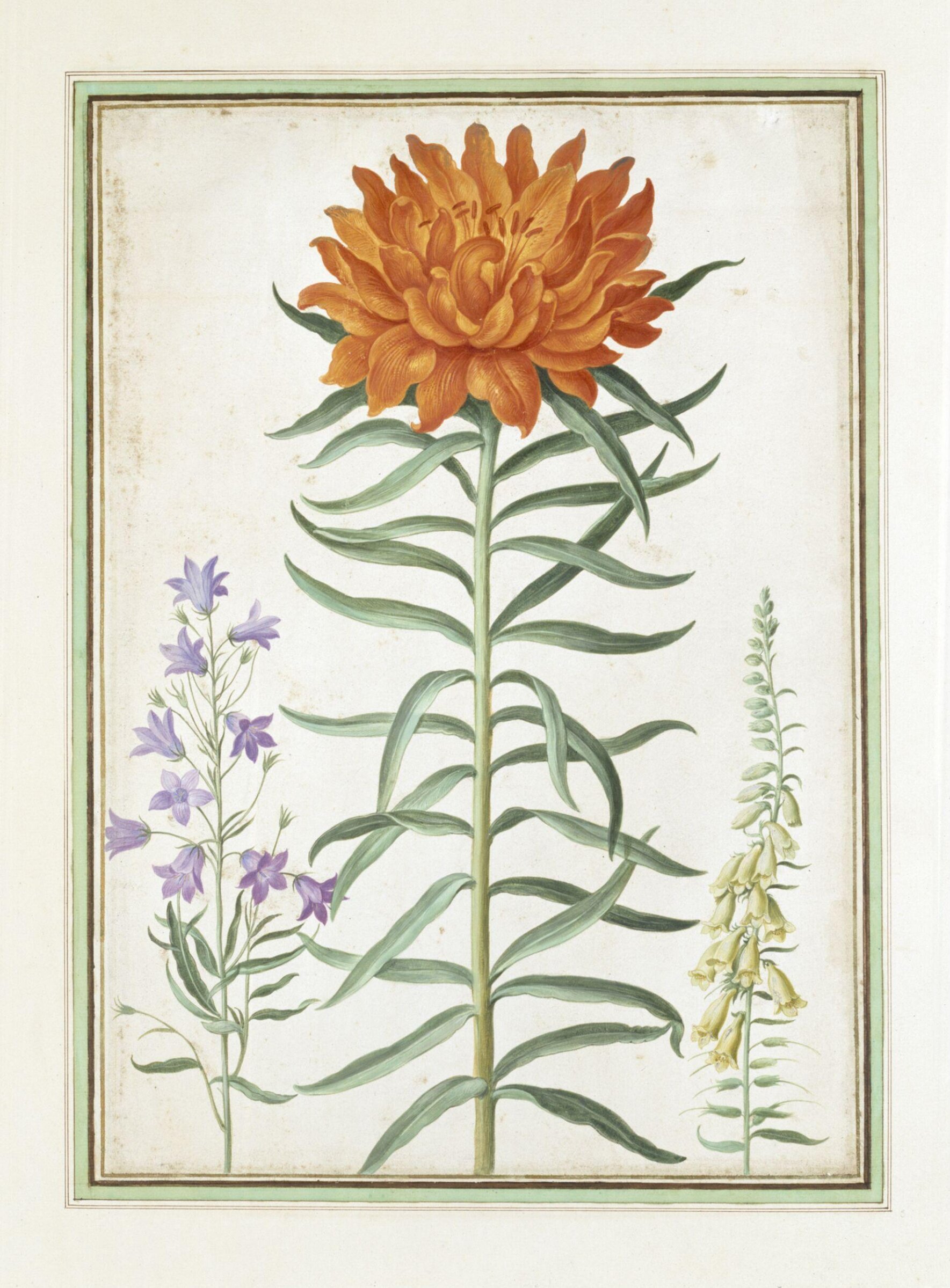 Watercolour, Johann Jakob Walther, 1654