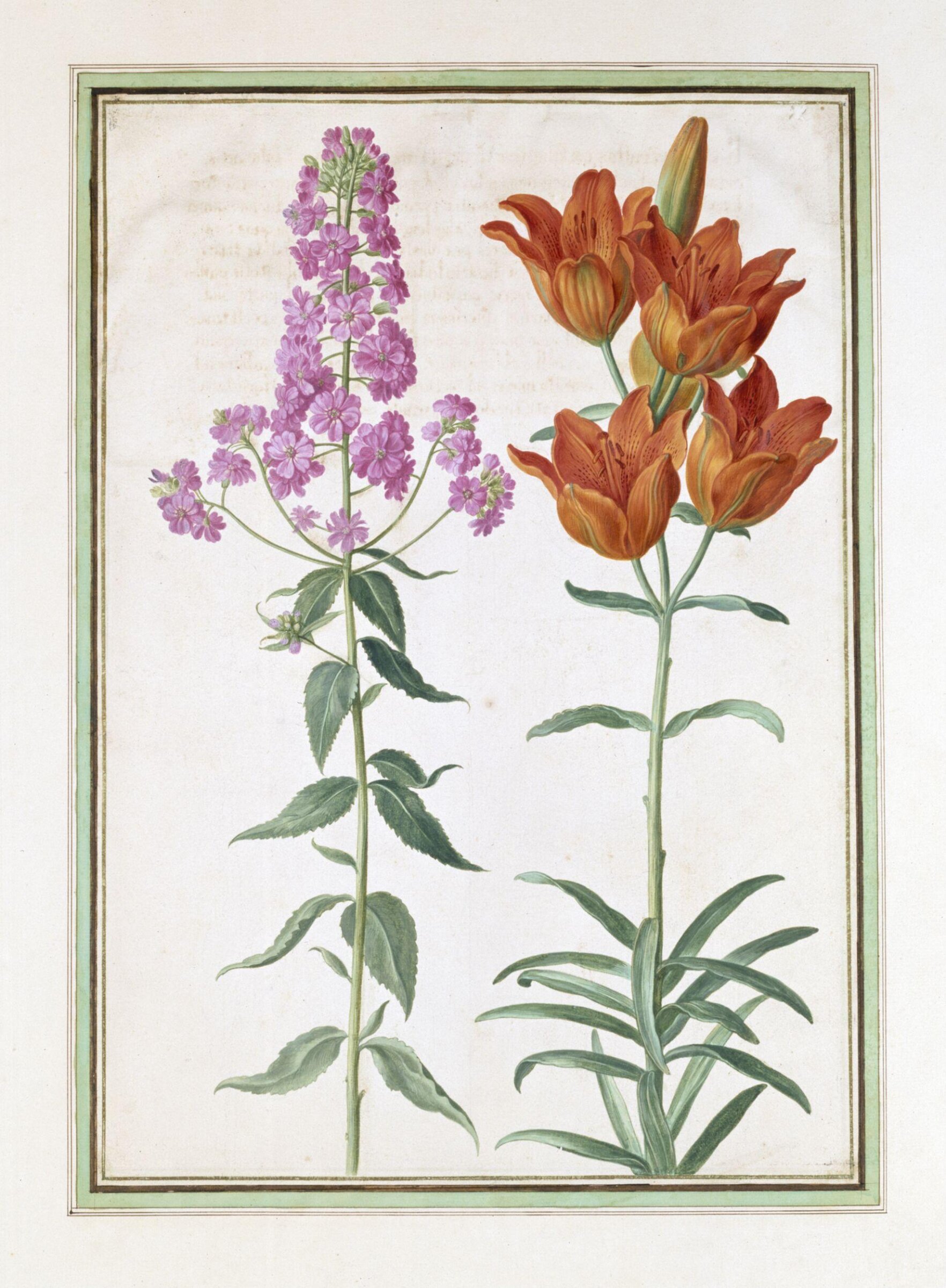 Watercolour, Johann Jakob Walther, 1654