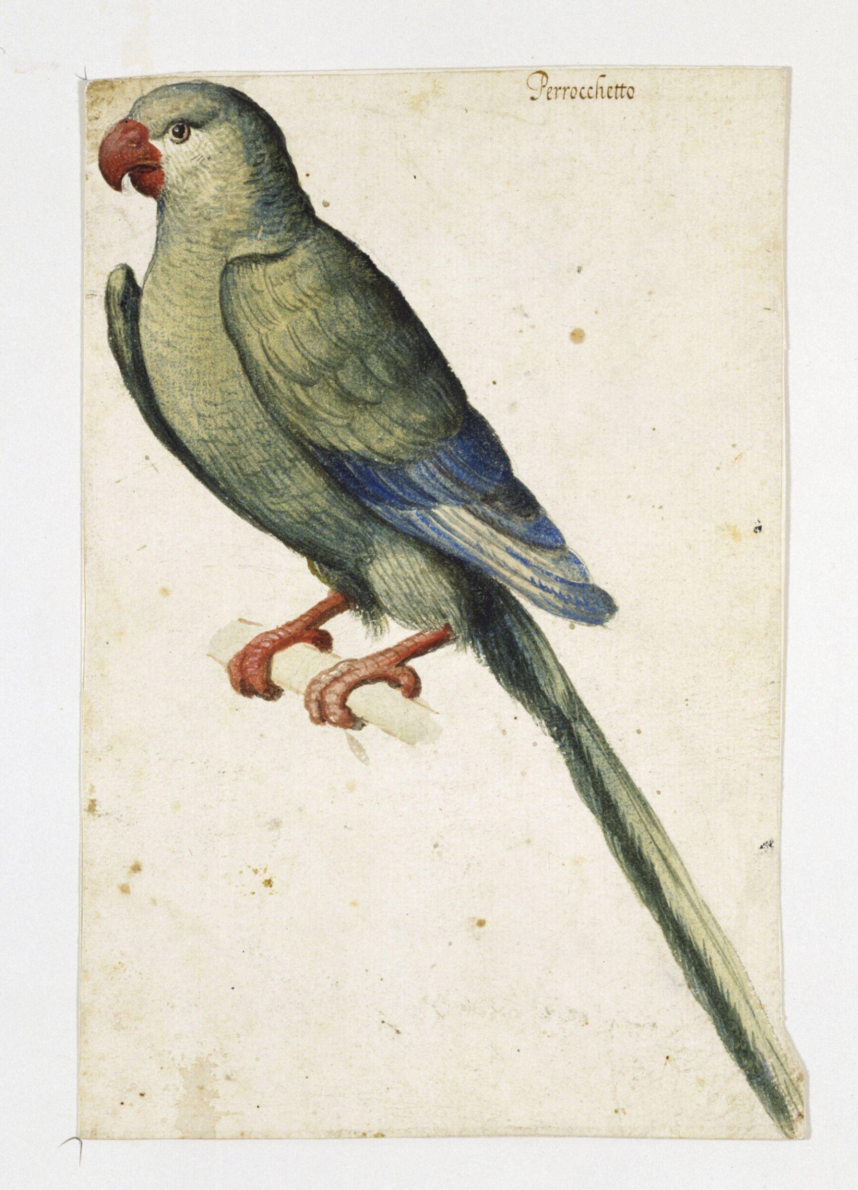 Drawing, 17th century