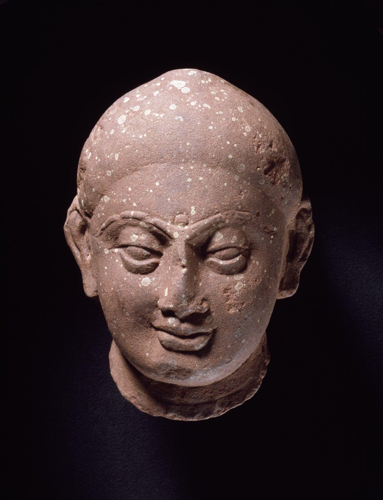 Head of a Buddha, 2nd century