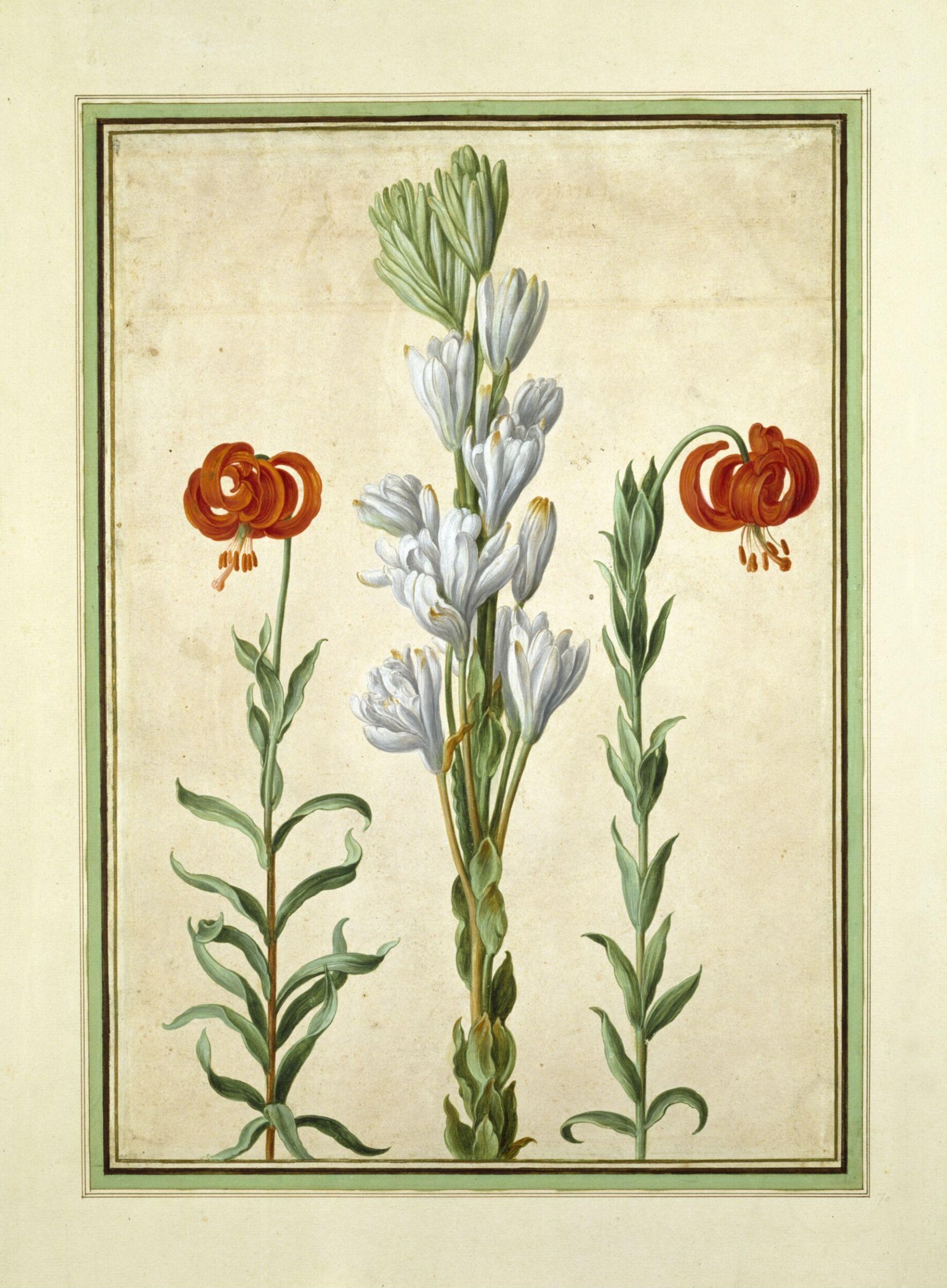 Watercolour, Johann Jakob Walther