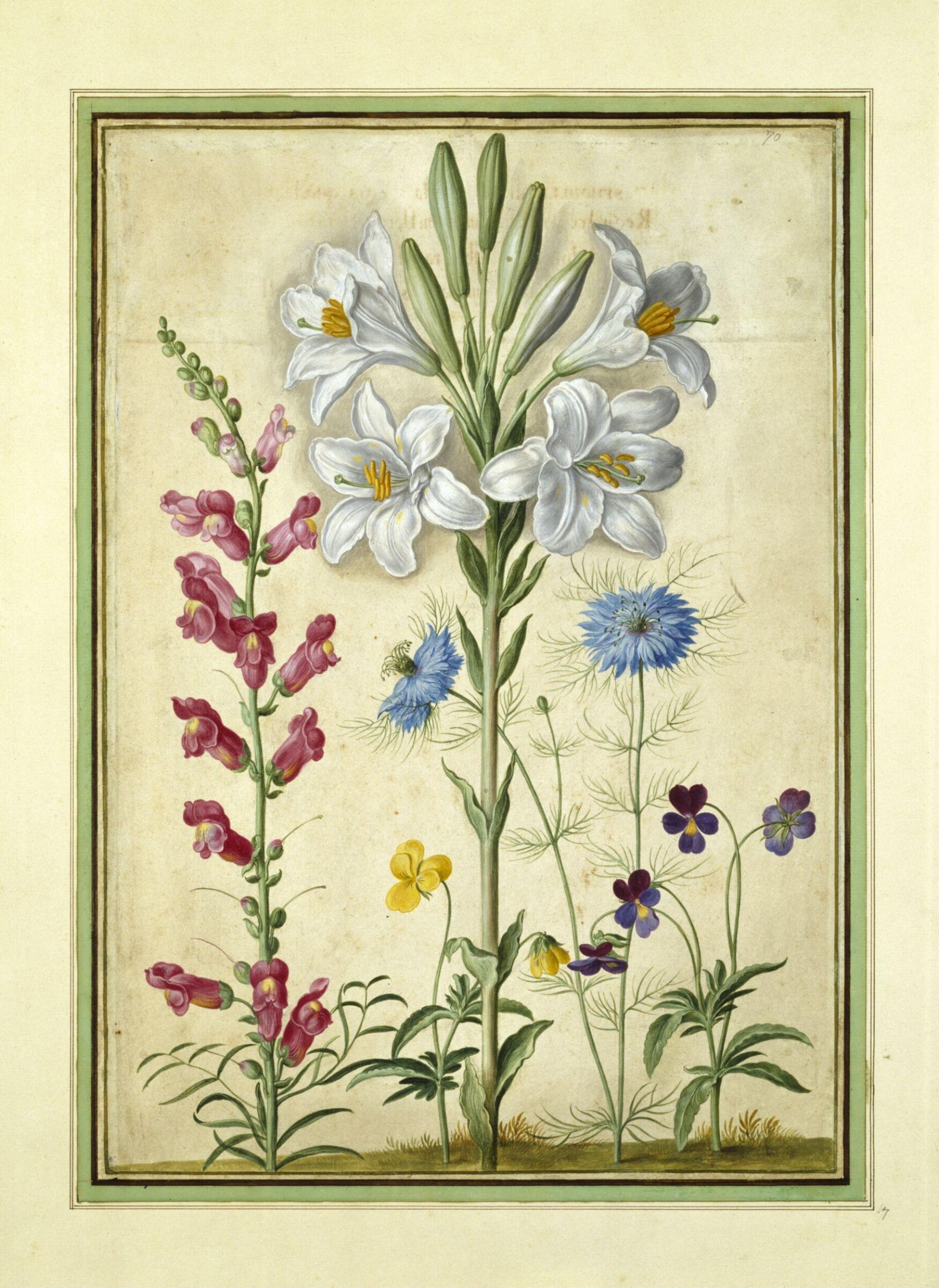 Watercolour, Johann Jakob Walther