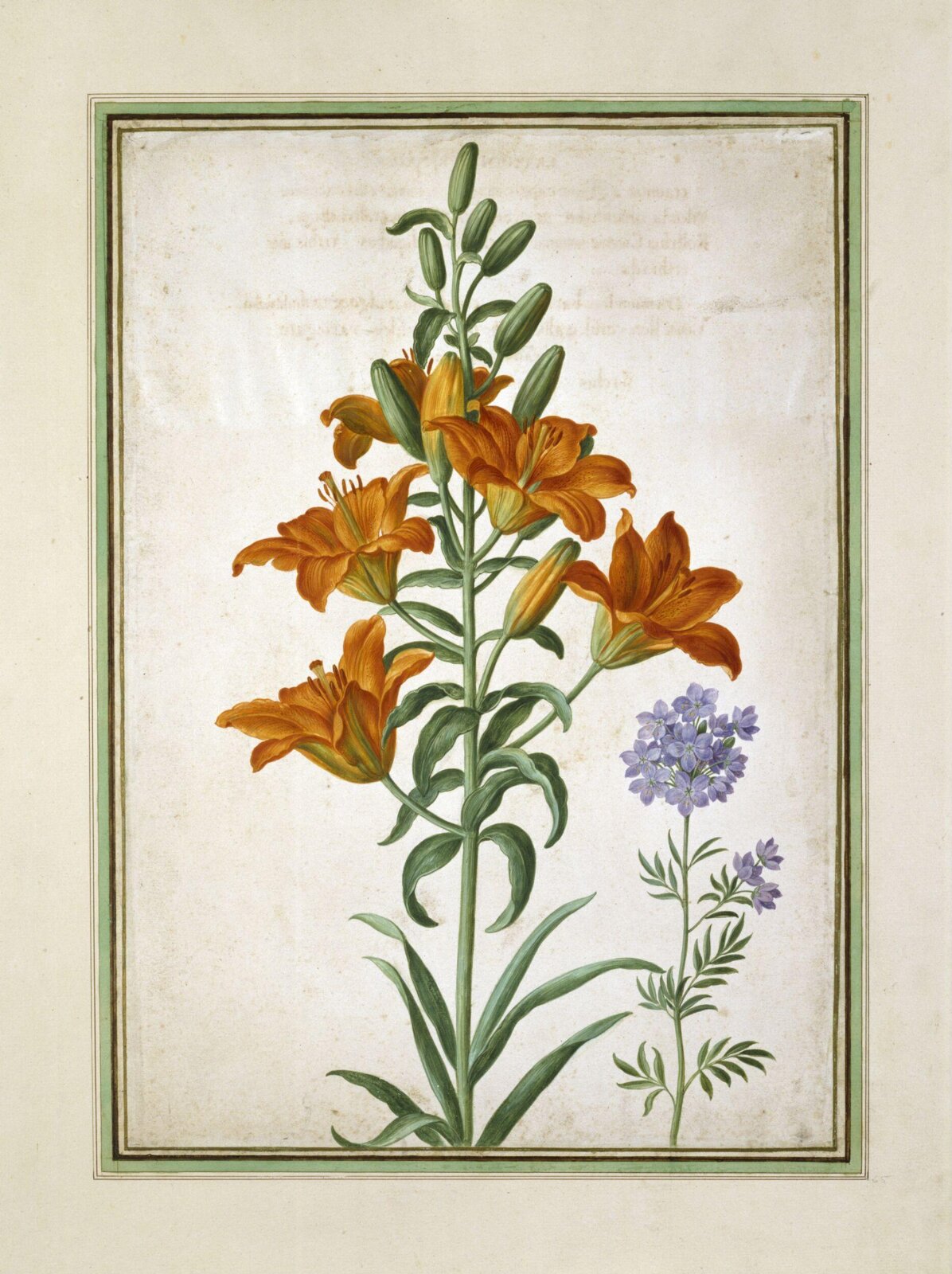 Watercolour, Johann Jakob Walther