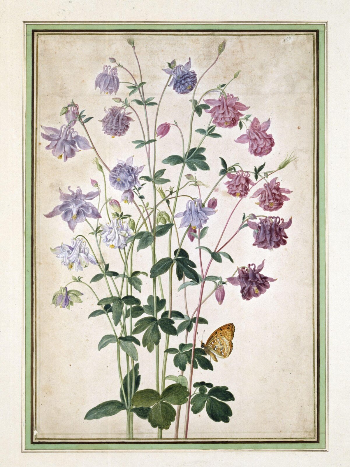 Watercolour, Johann Jakob Walther