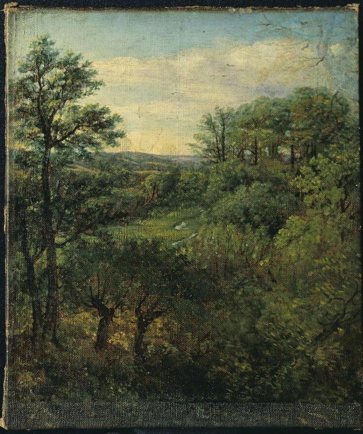 Valley Scene, with Trees top image