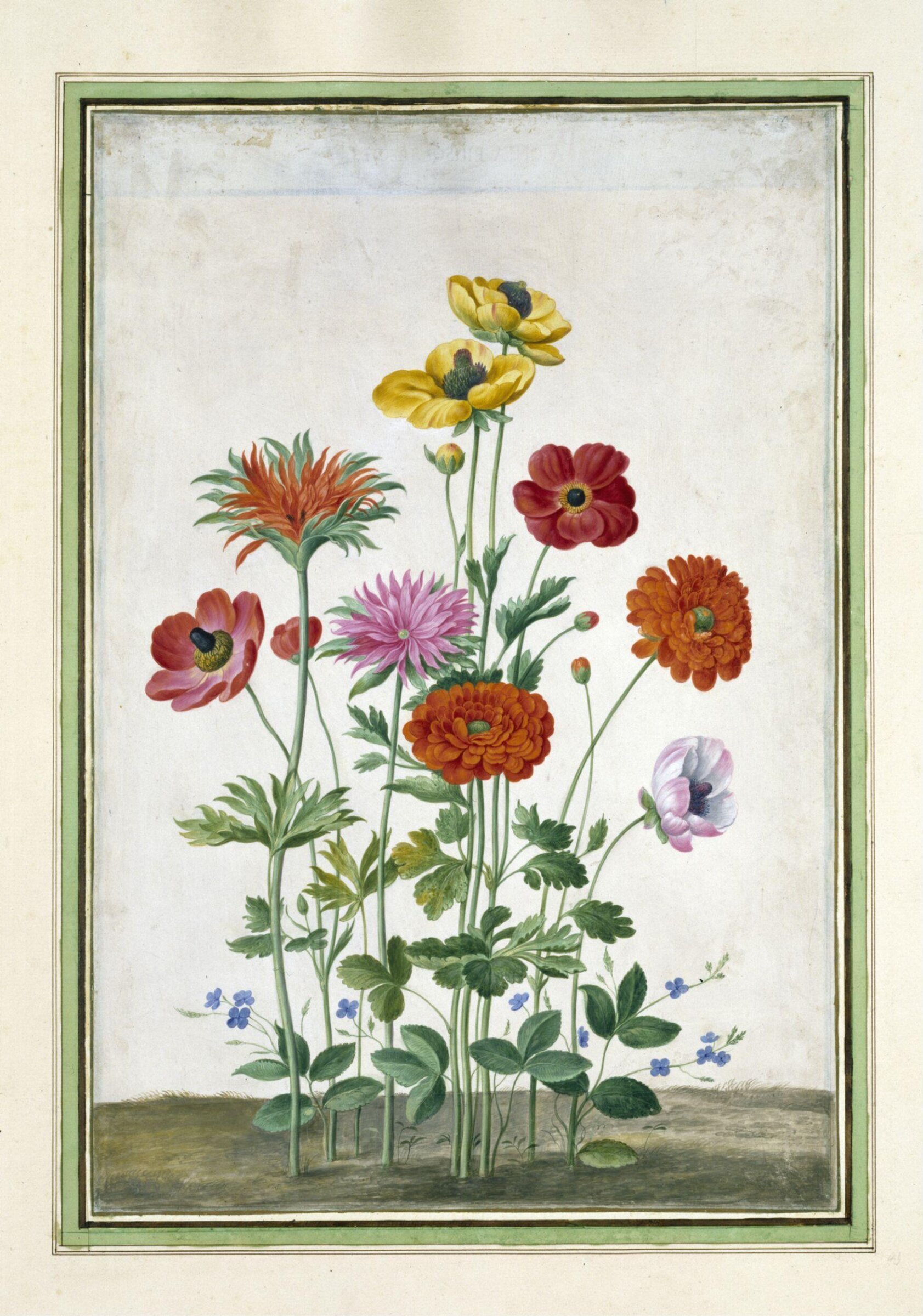Watercolour, Johann Jakob Walther