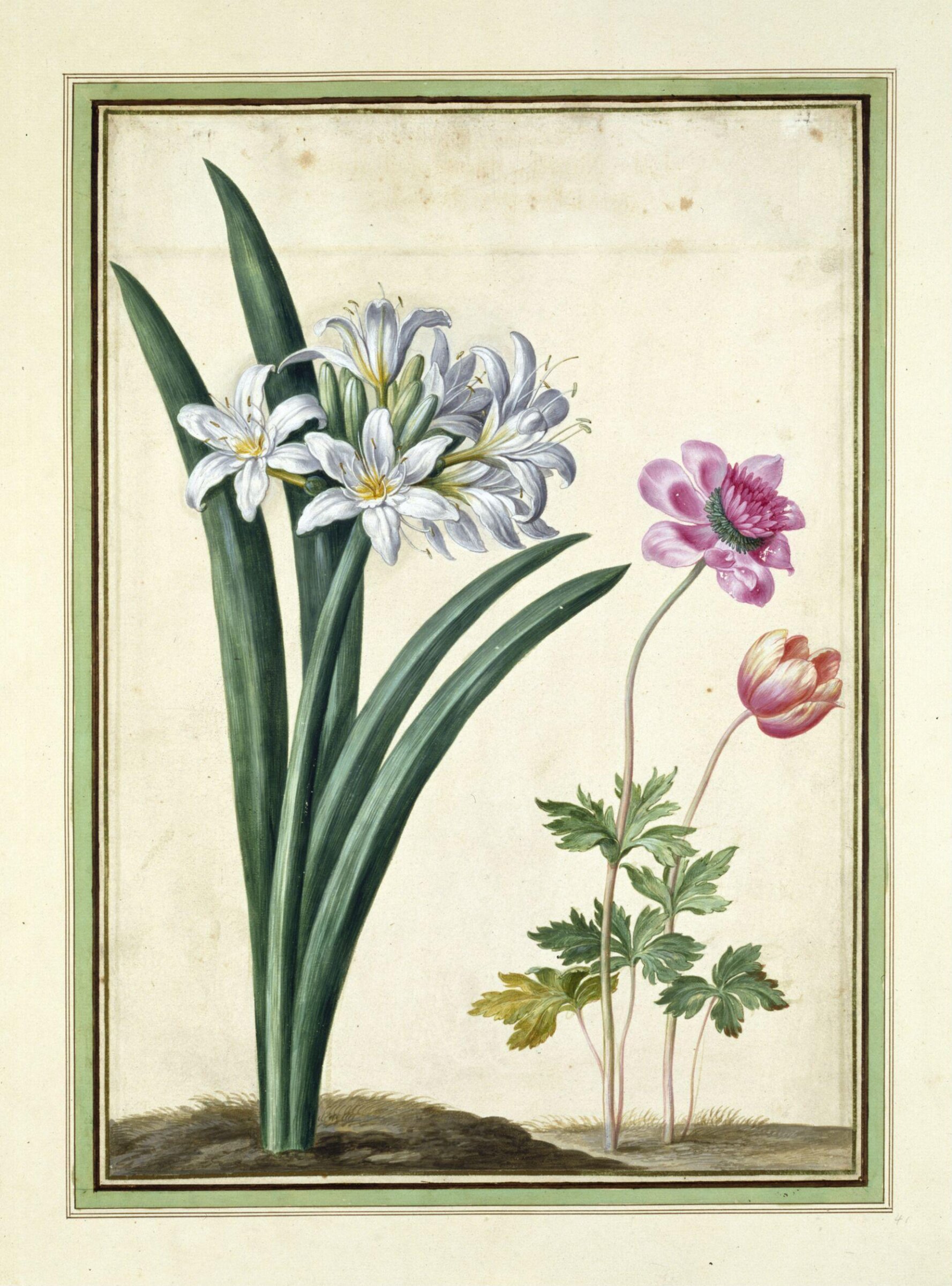 Watercolour, Johann Jakob Walther
