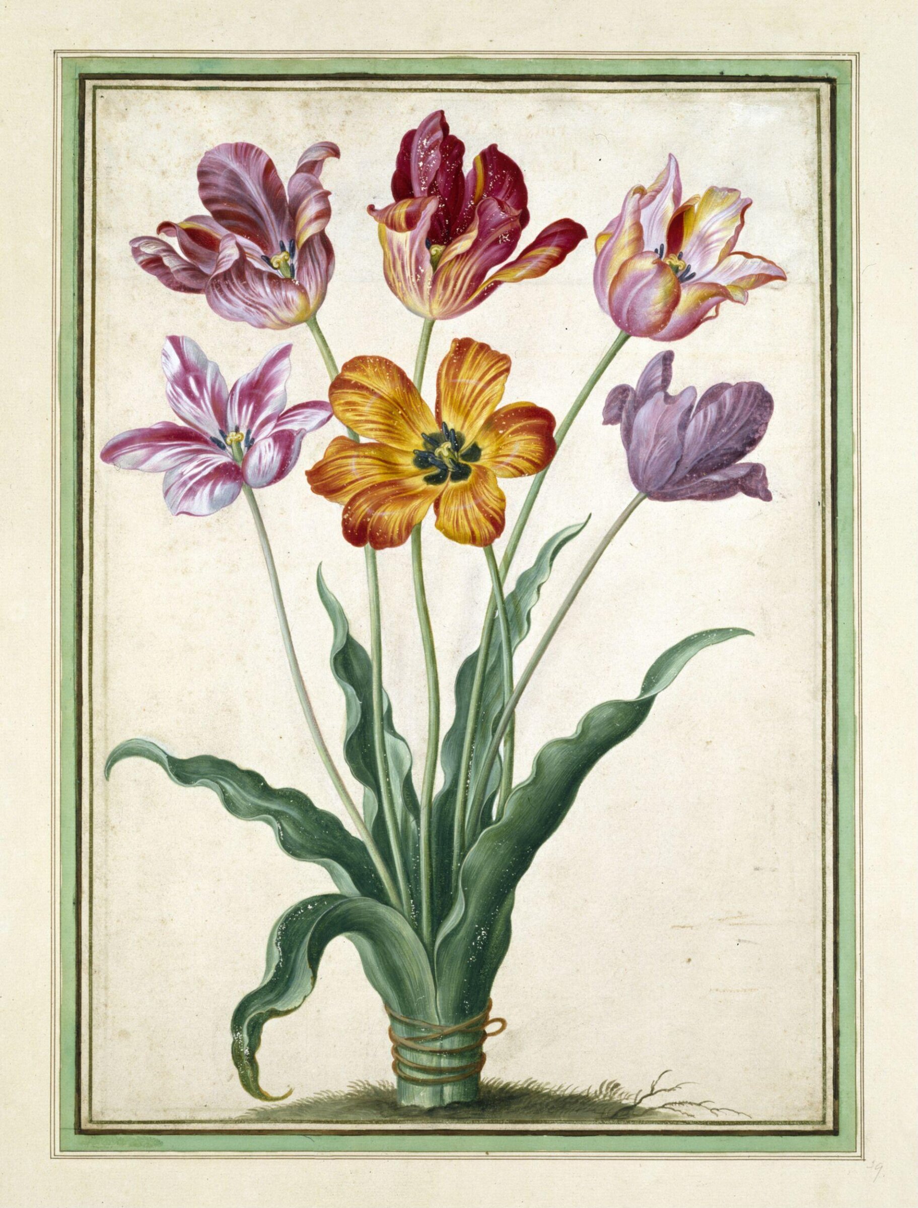 Watercolour, Johann Jakob Walther