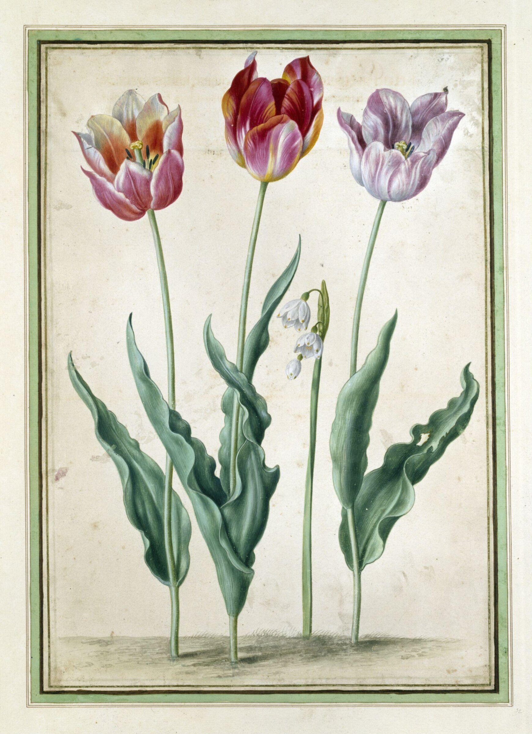 Watercolour, Johann Jakob Walther