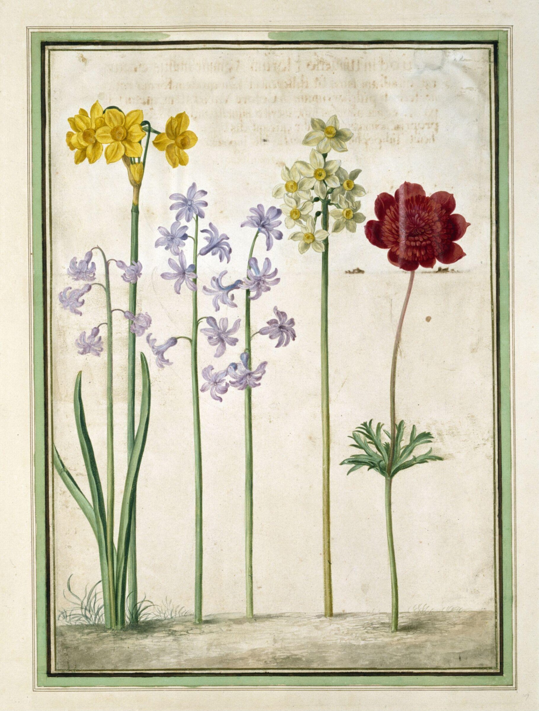 Watercolour, Johann Jakob Walther