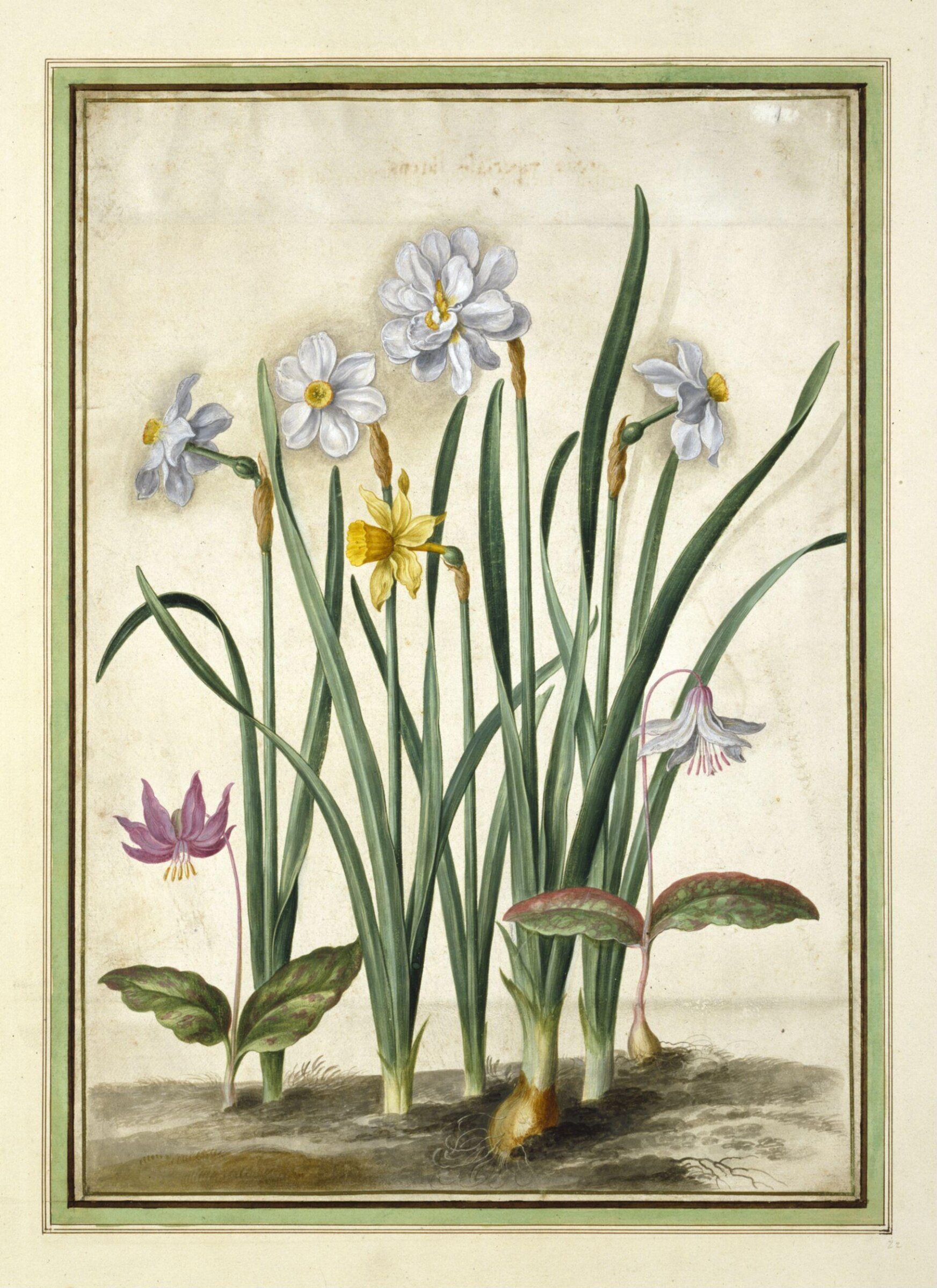 Watercolour, Johann Jakob Walther