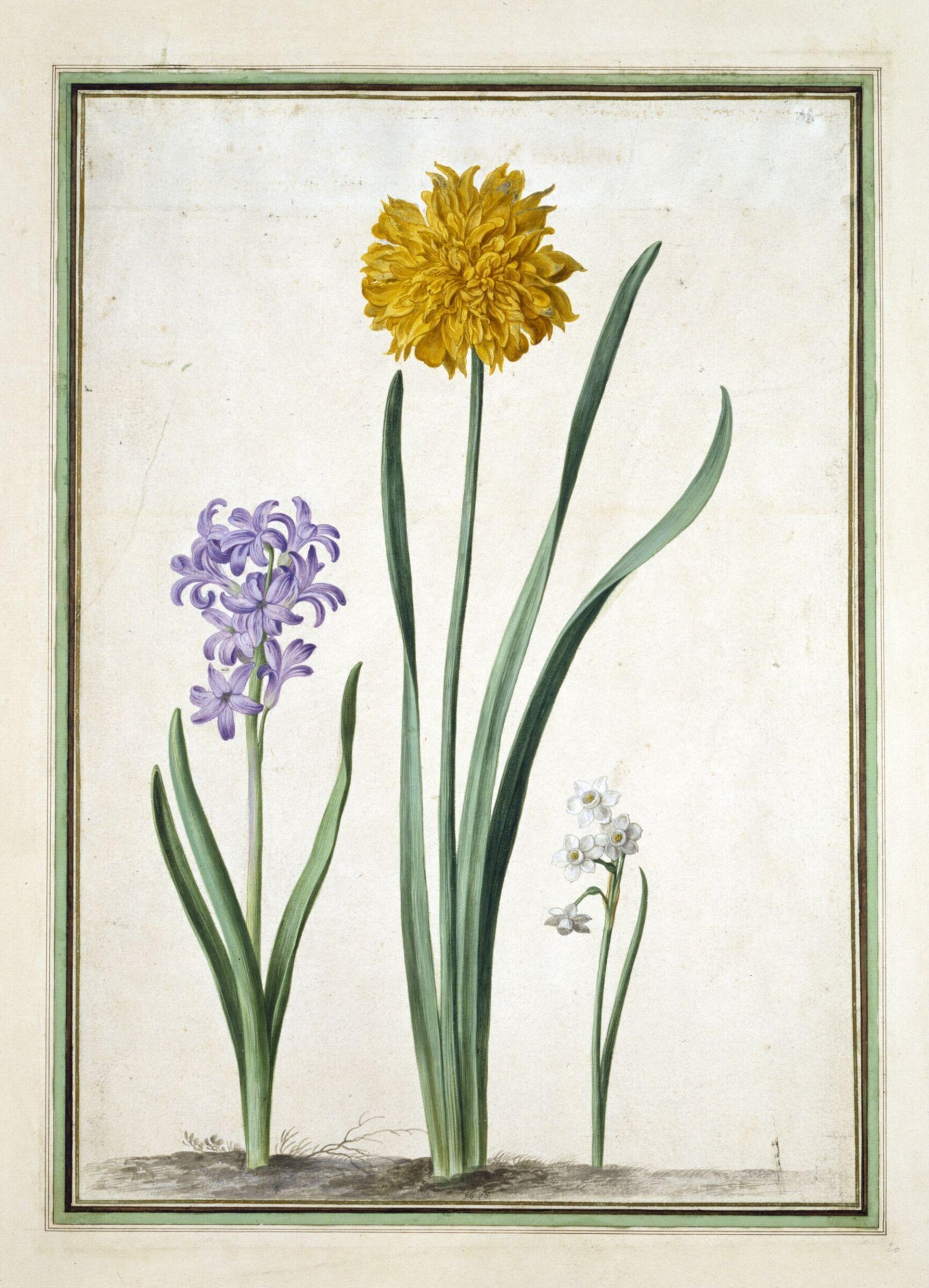 Watercolour, Johann Jakob Walther