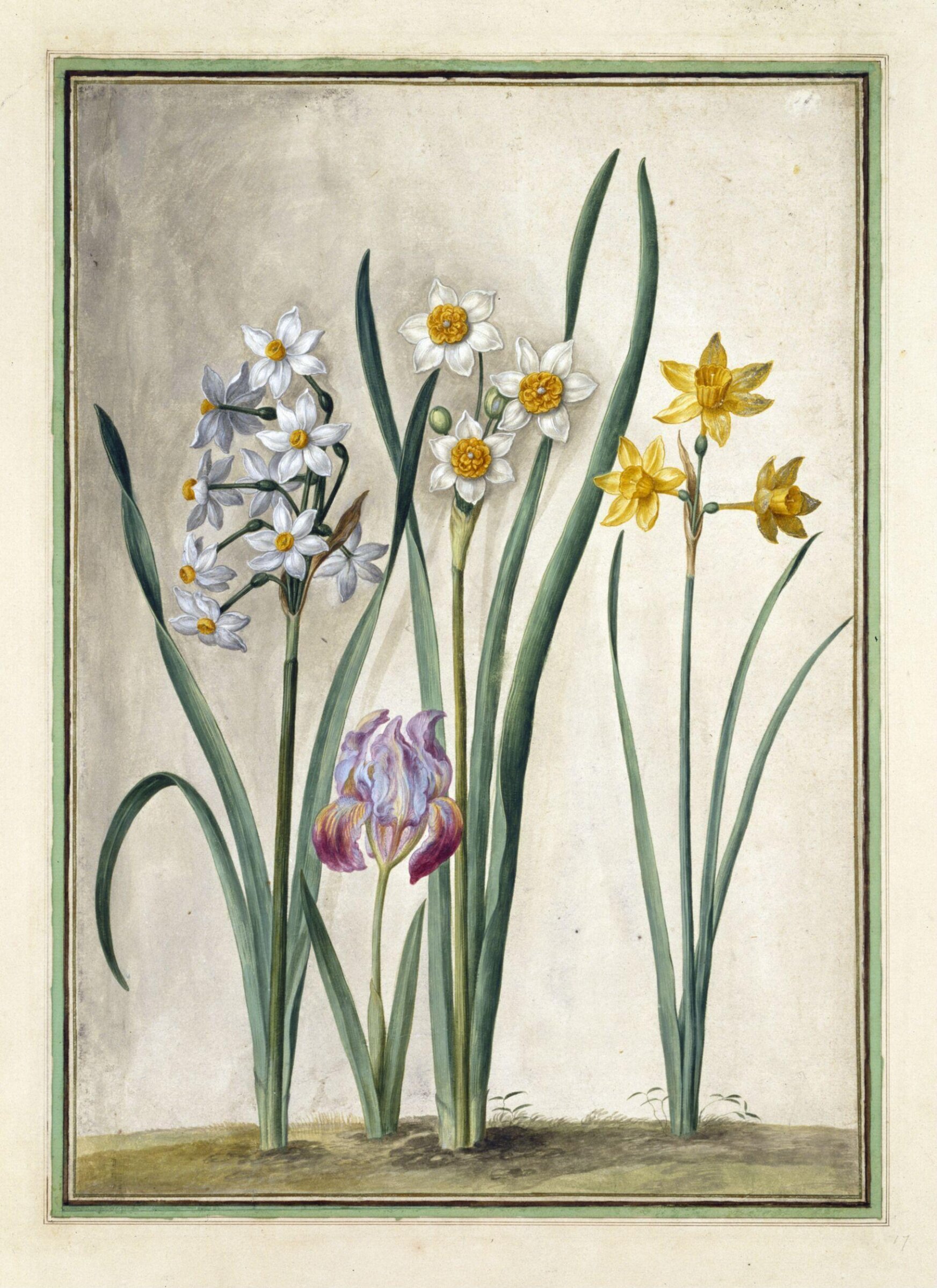 Watercolour, Johann Jakob Walther