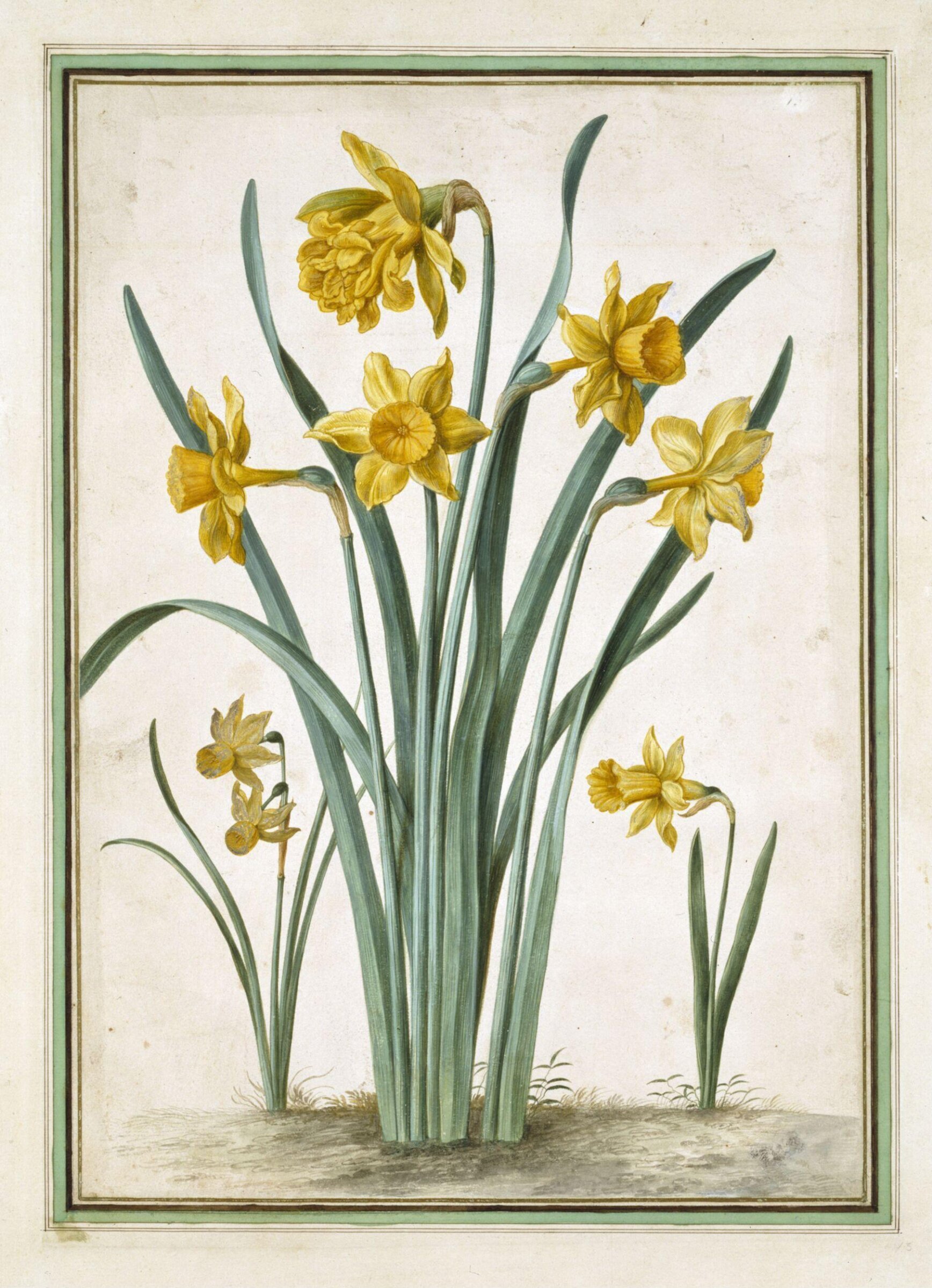 Watercolour, Johann Jakob Walther