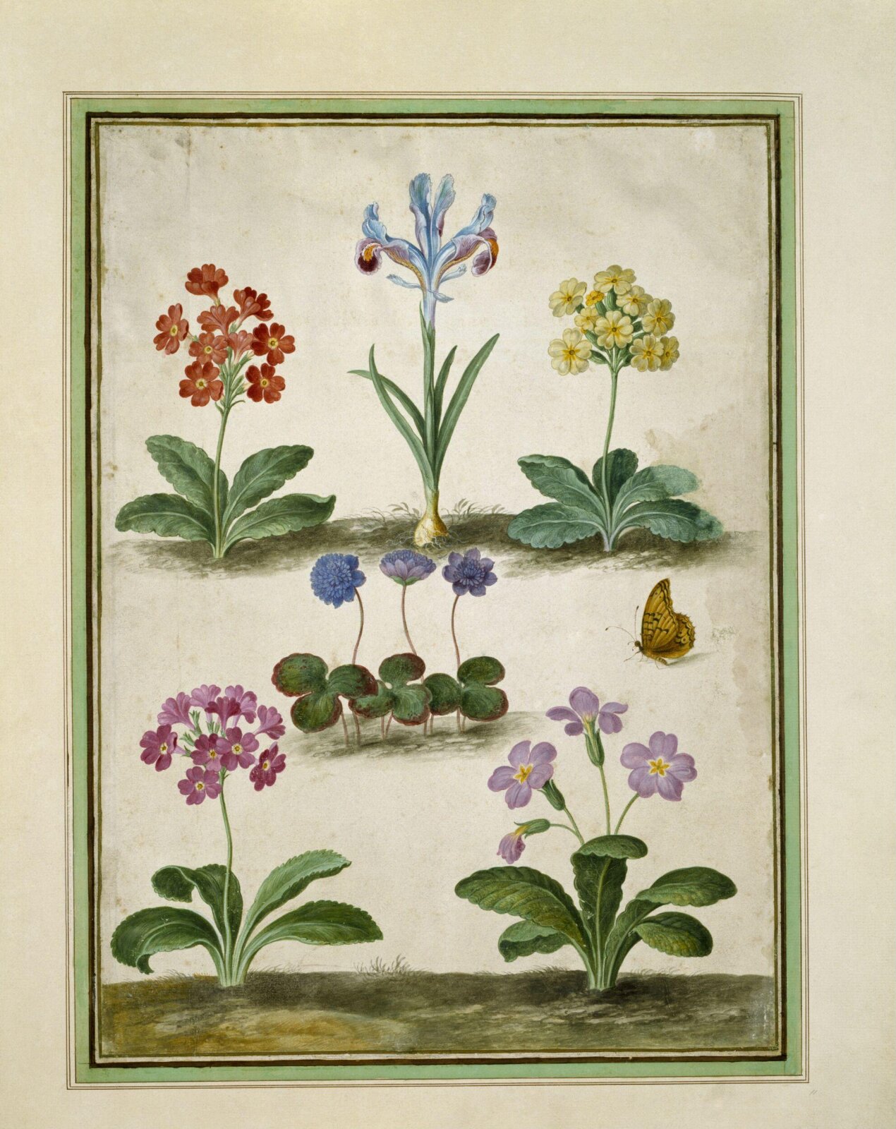 Watercolour, Johann Jakob Walther