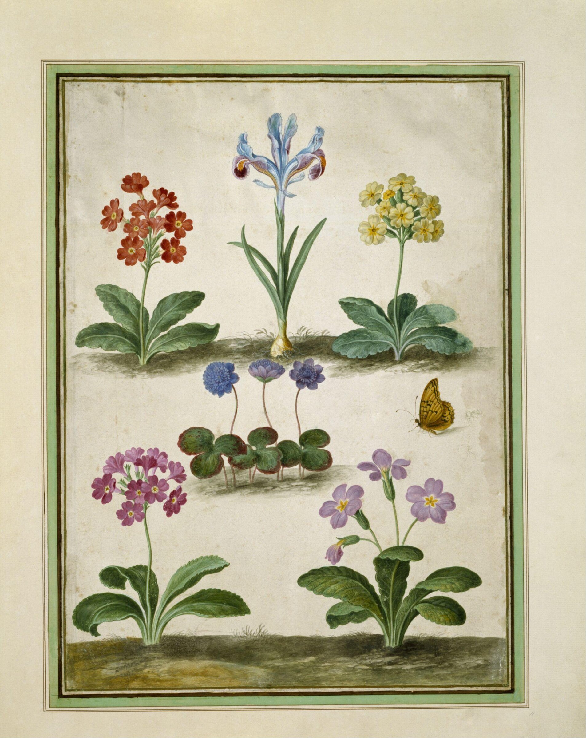 Watercolour, Johann Jakob Walther