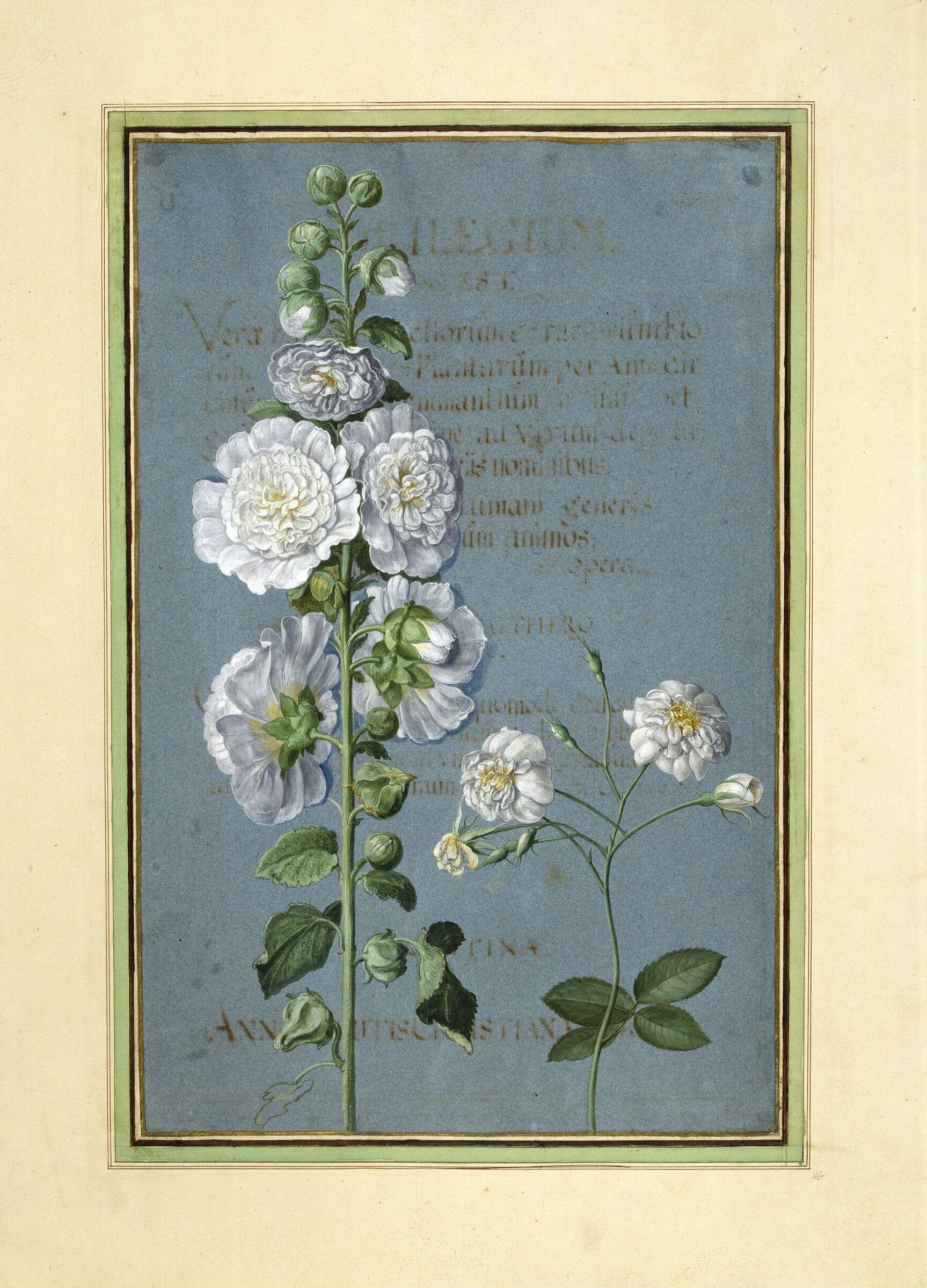 Watercolour, Johann Jakob Walther, 1654