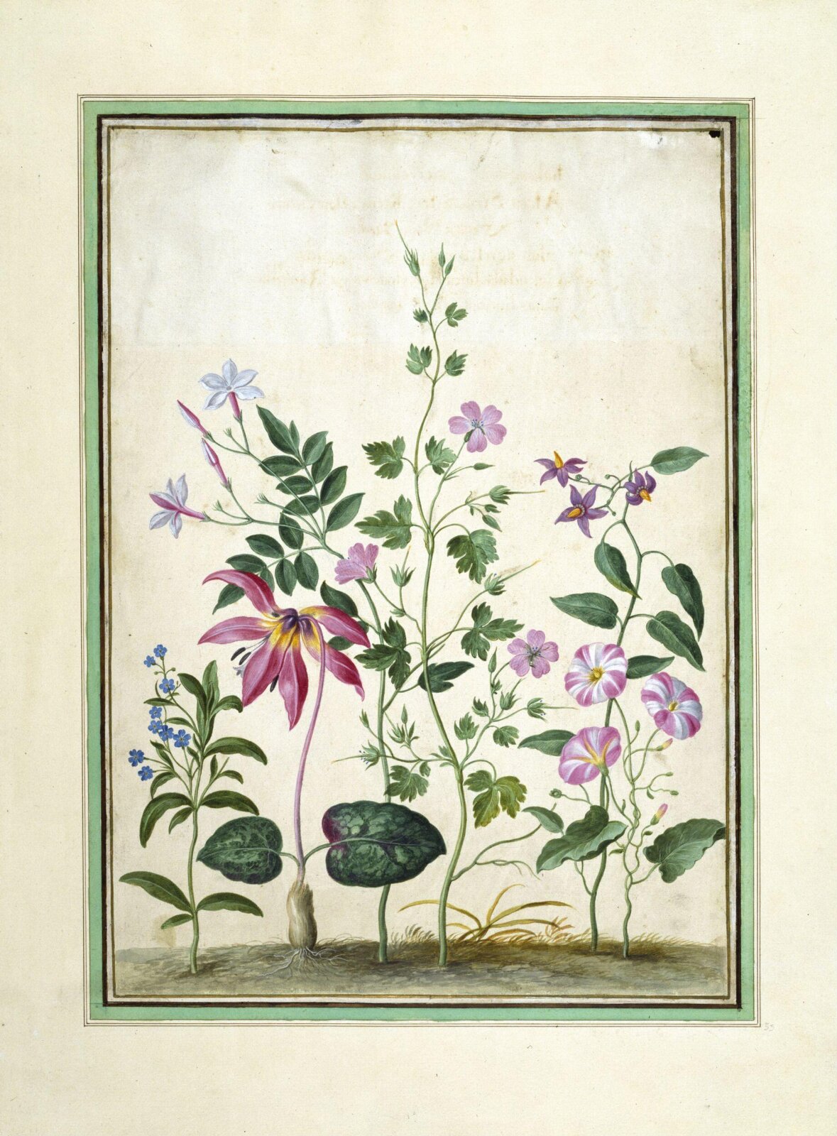 Watercolour, Johann Jakob Walther, 1654