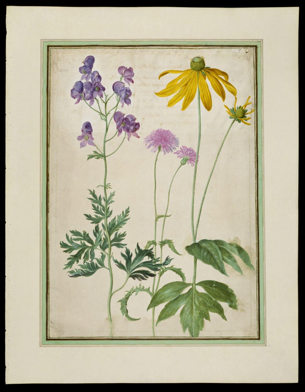 Watercolour, Johann Jakob Walther, 1654