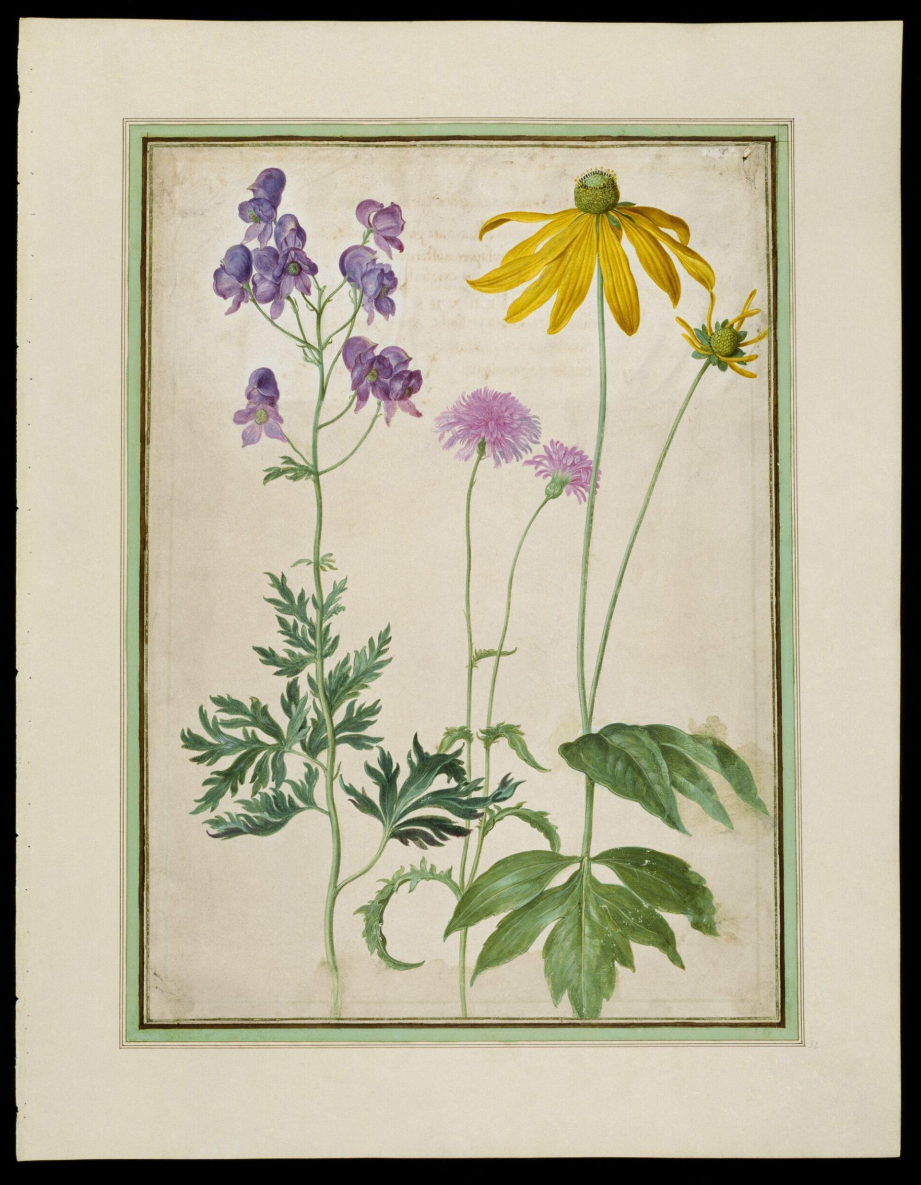Watercolour, Johann Jakob Walther, 1654