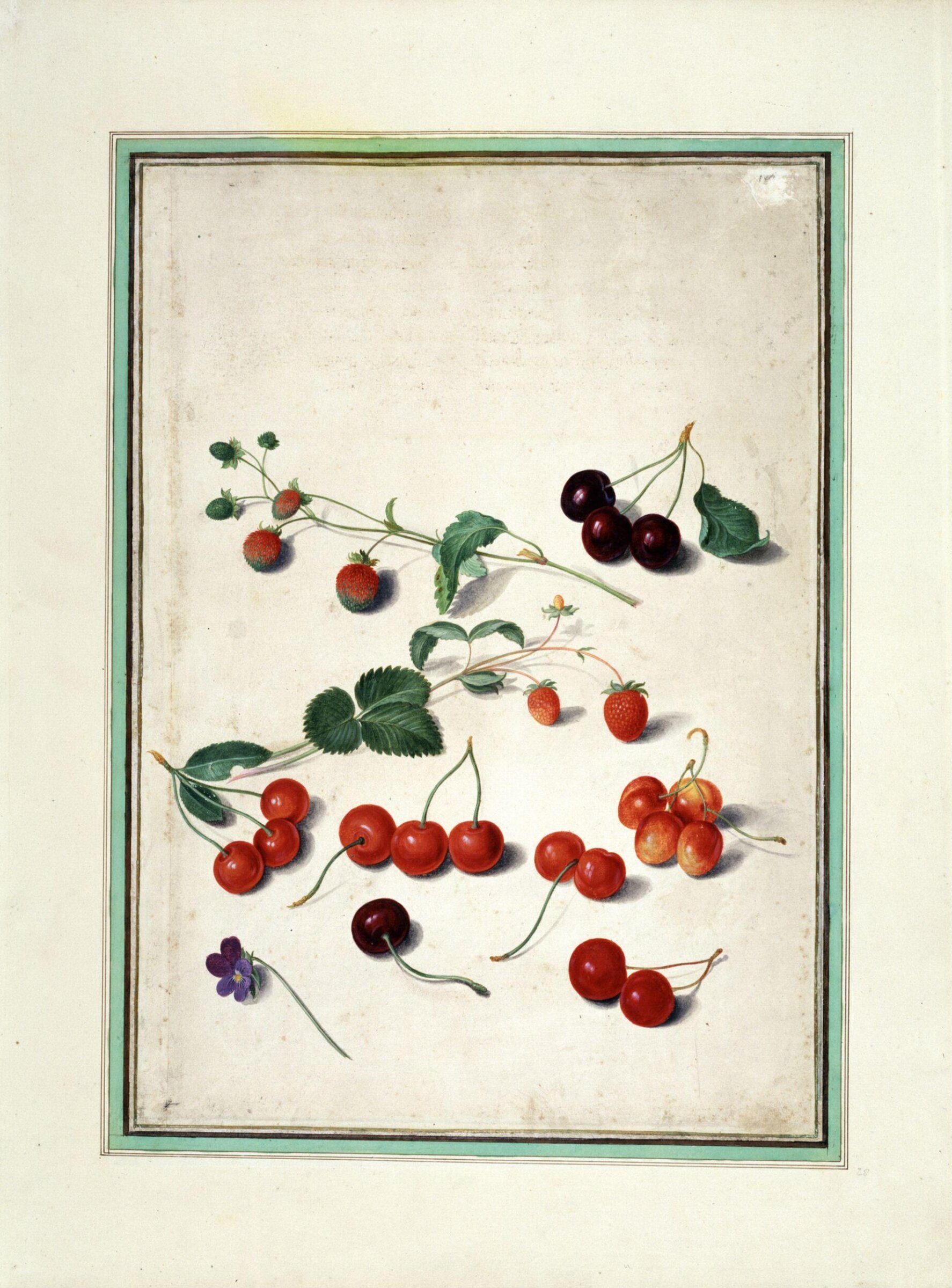 Watercolour, Johann Jakob Walther, 1654