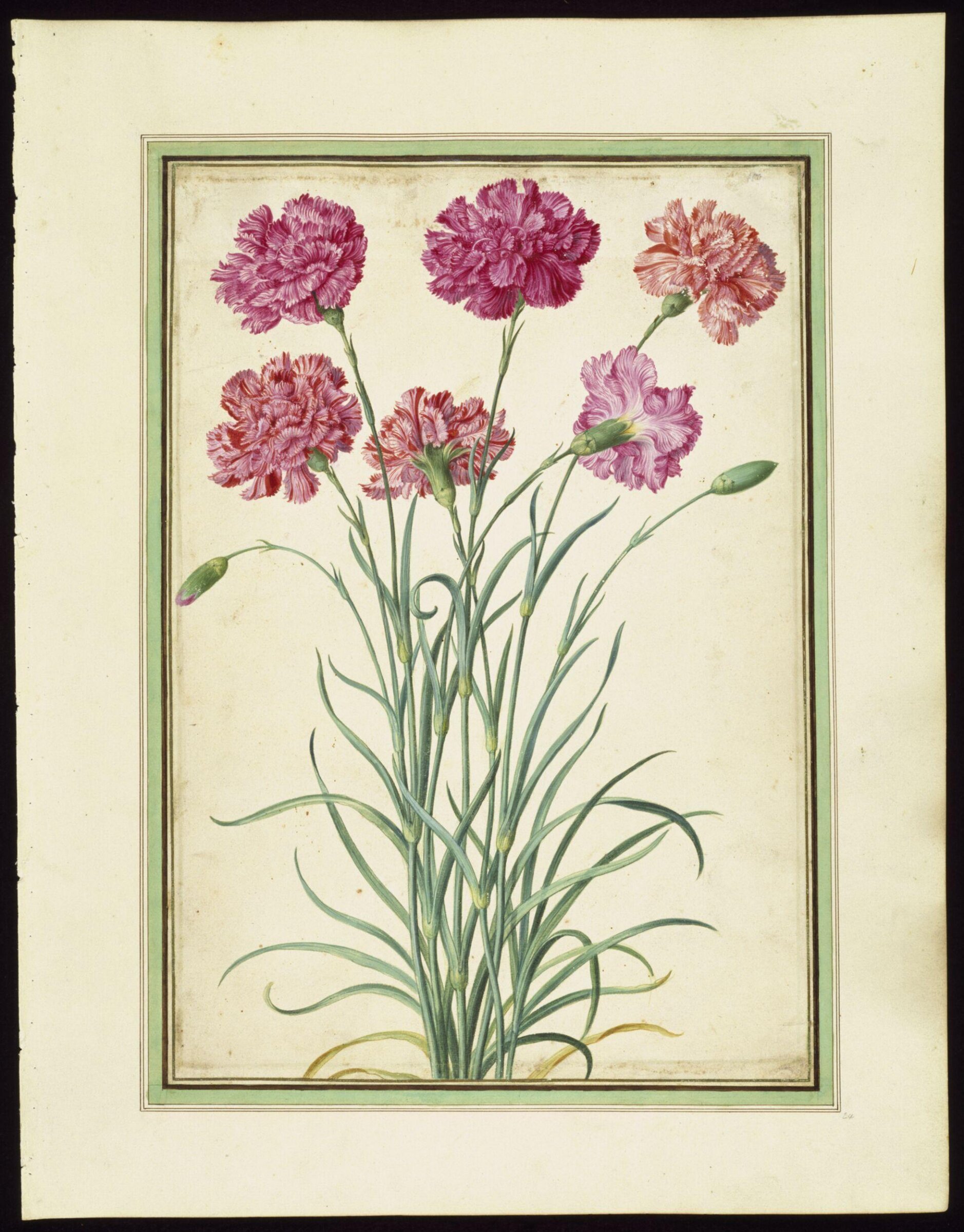 Watercolour, Johann Jakob Walther, 1654