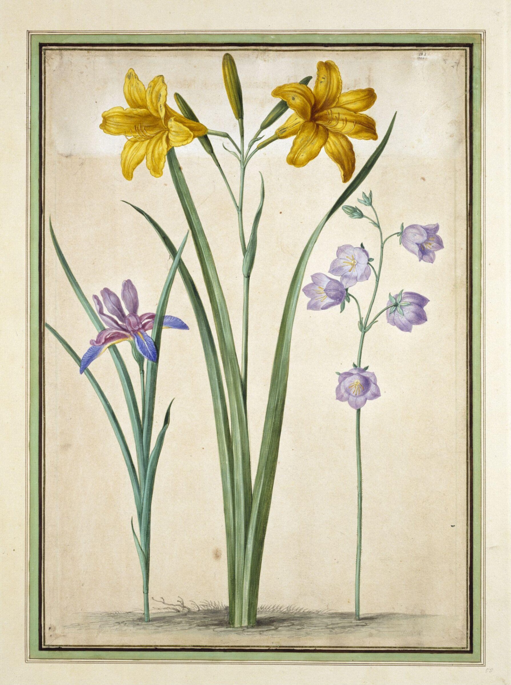Watercolour, Johann Jakob Walther