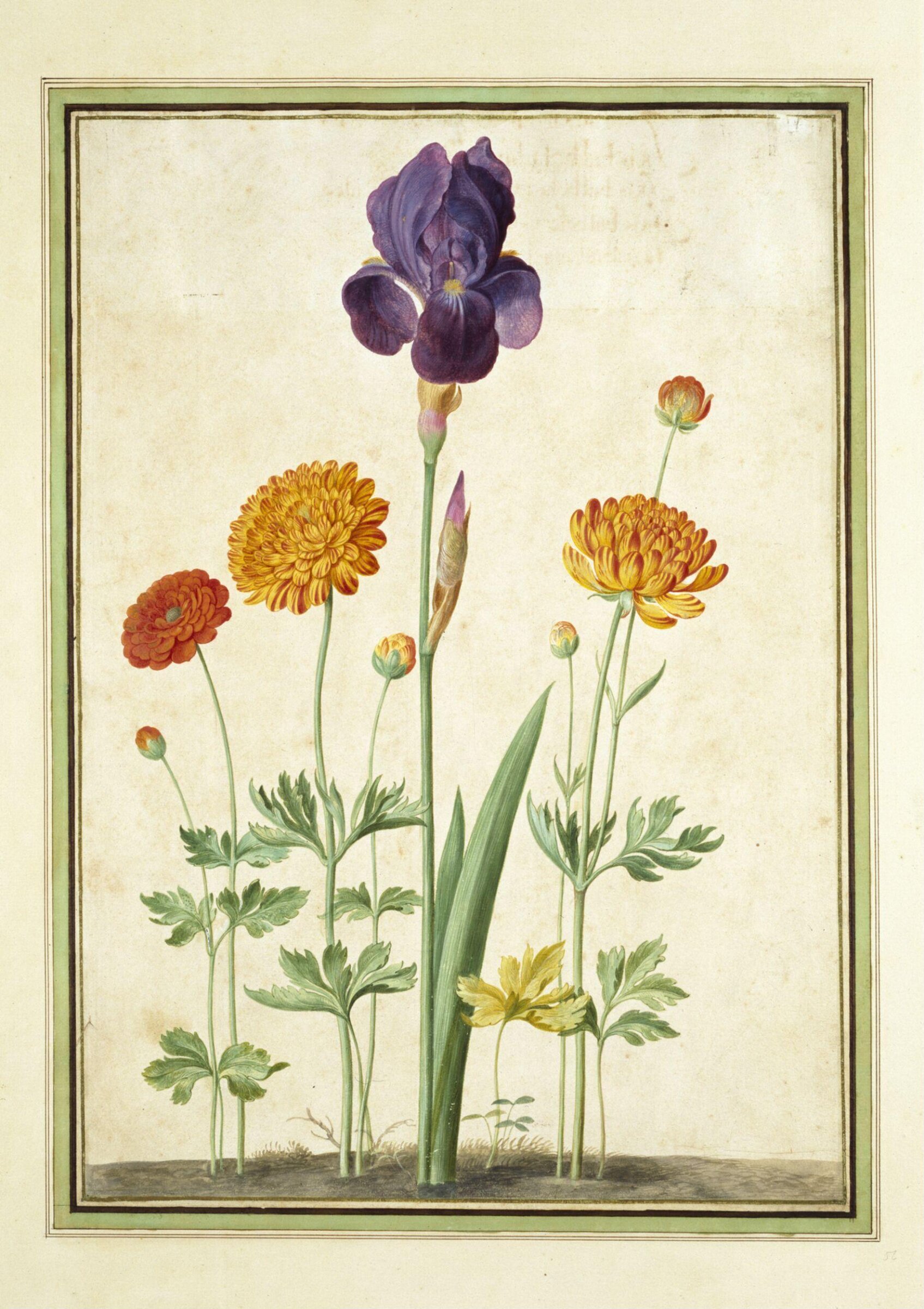 Watercolour, Johann Jakob Walther