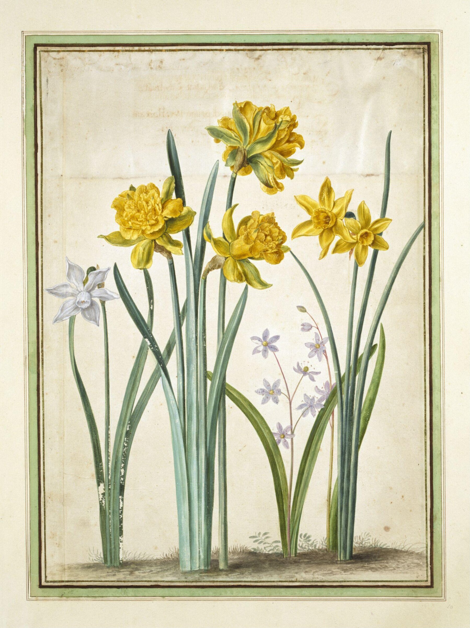 Watercolour, Johann Jakob Walther