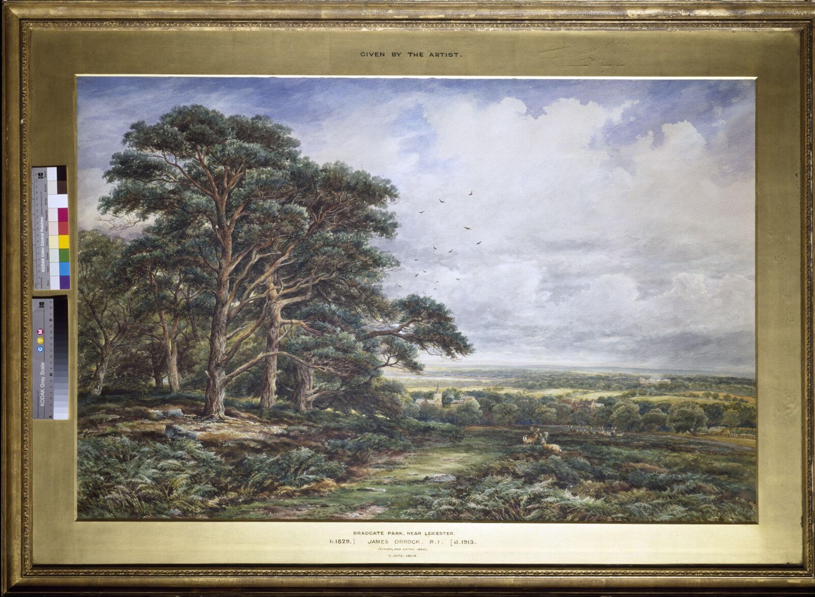 Watercolour