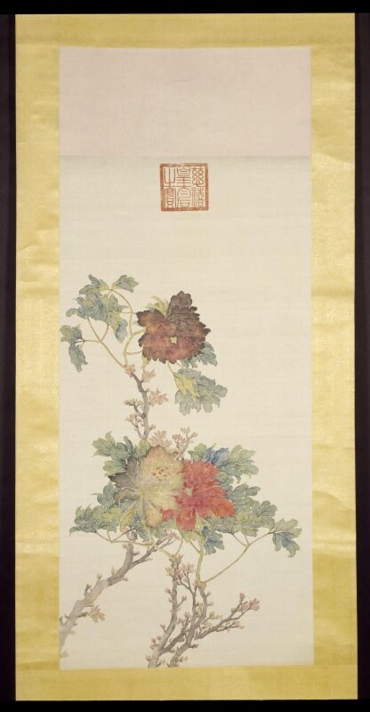 Peonies