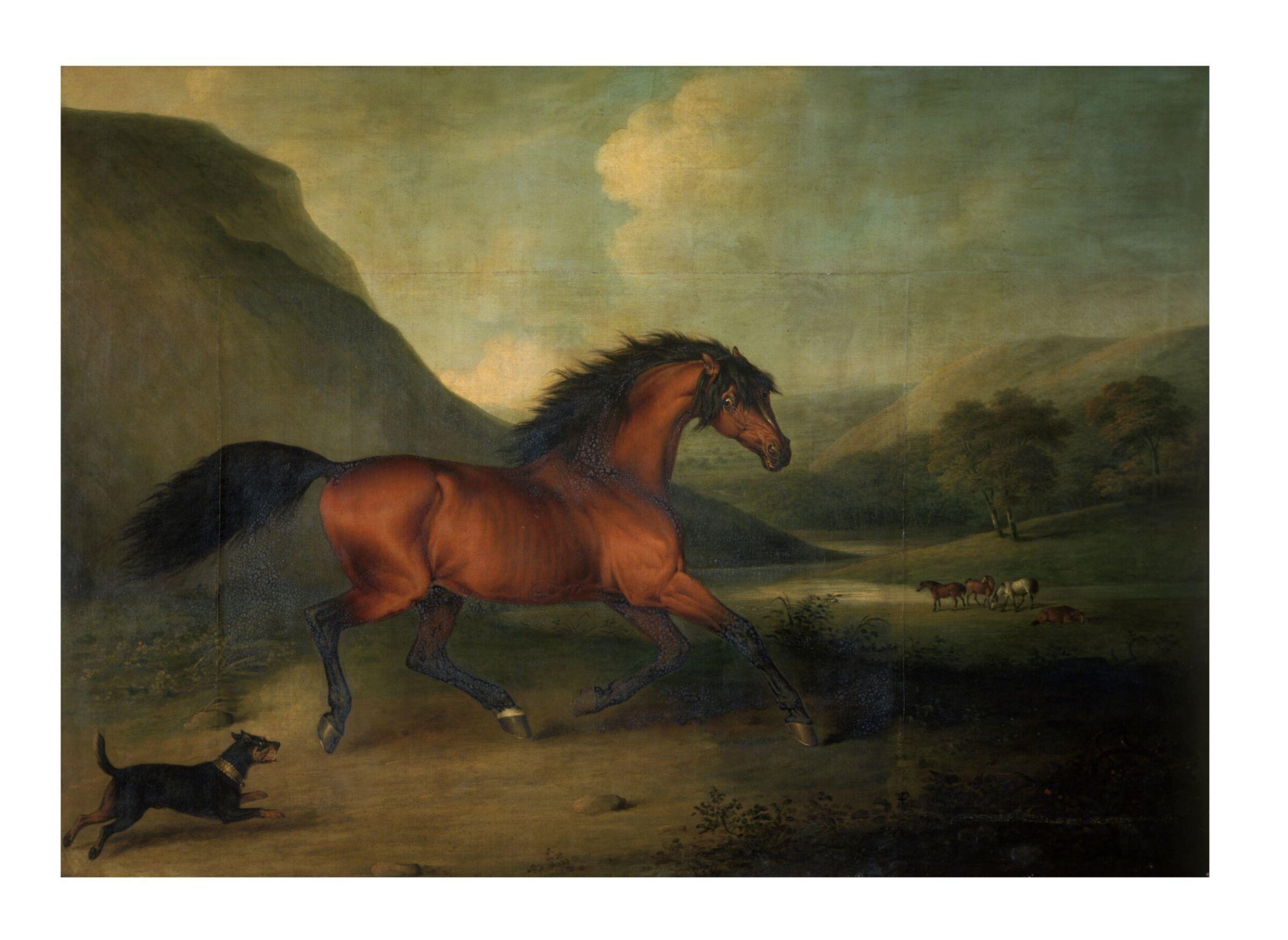 The English Blood-Horse 'Fidget', Henry Barnard Chalon, ca. 1811