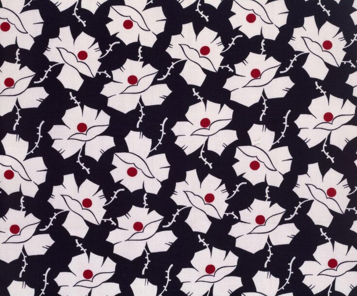 Dress Fabric top image