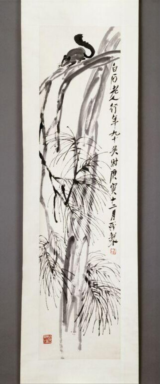 Squirrel on a pine branch, Qi Huang, 01/01/1950-31/12/1950