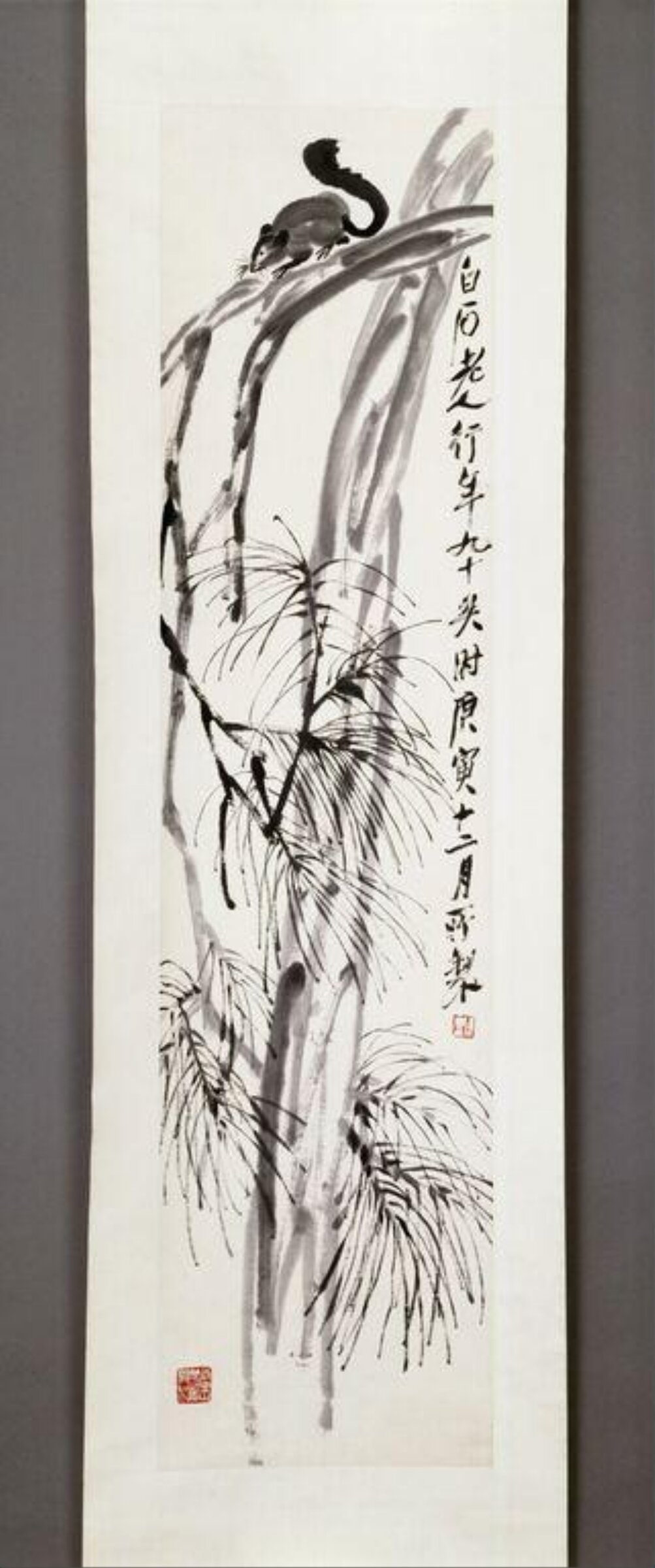 Squirrel on a pine branch, Qi Huang, 01/01/1950-31/12/1950