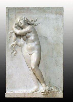 Venus Anadyomene