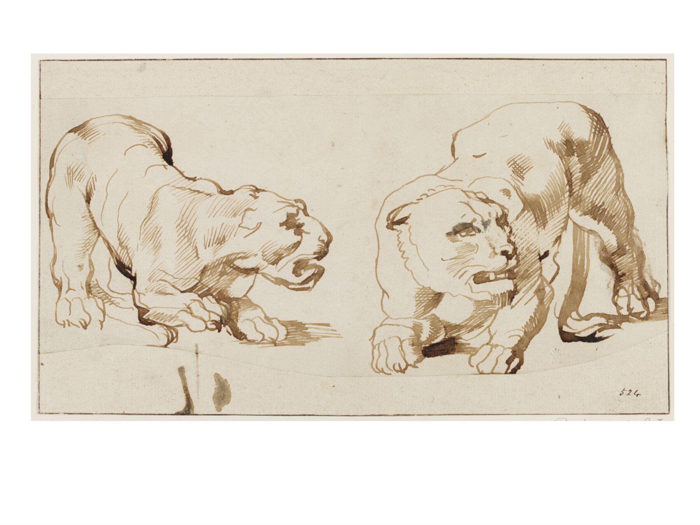 Two Studies of a Crouching Panther, Peter Paul Rubens, early 17th century