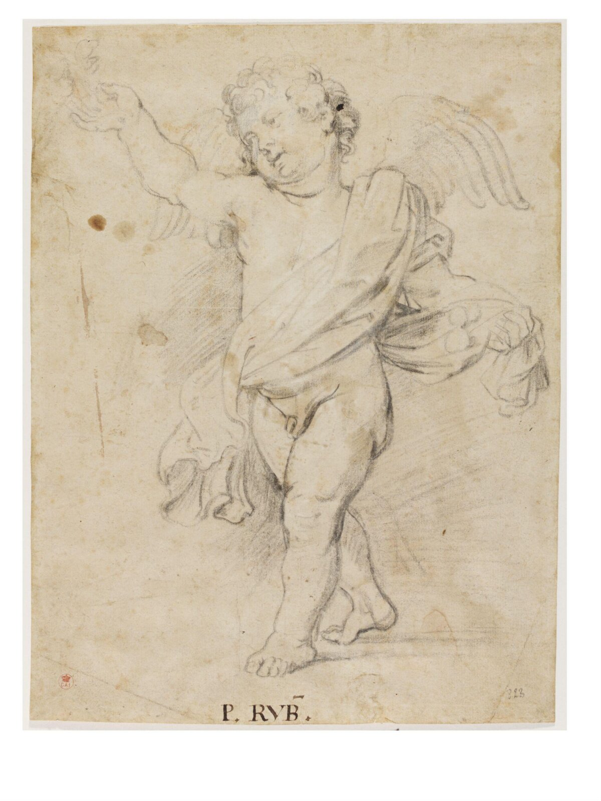 Study of a Partly Draped Winged Boy, late 17th century - early 18th century