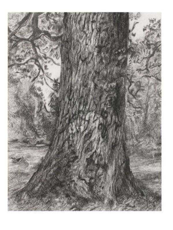 After Constable's Elm