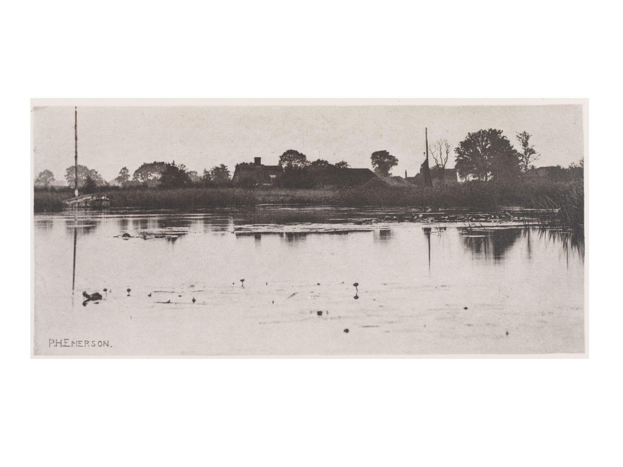The Fringe of the Mere